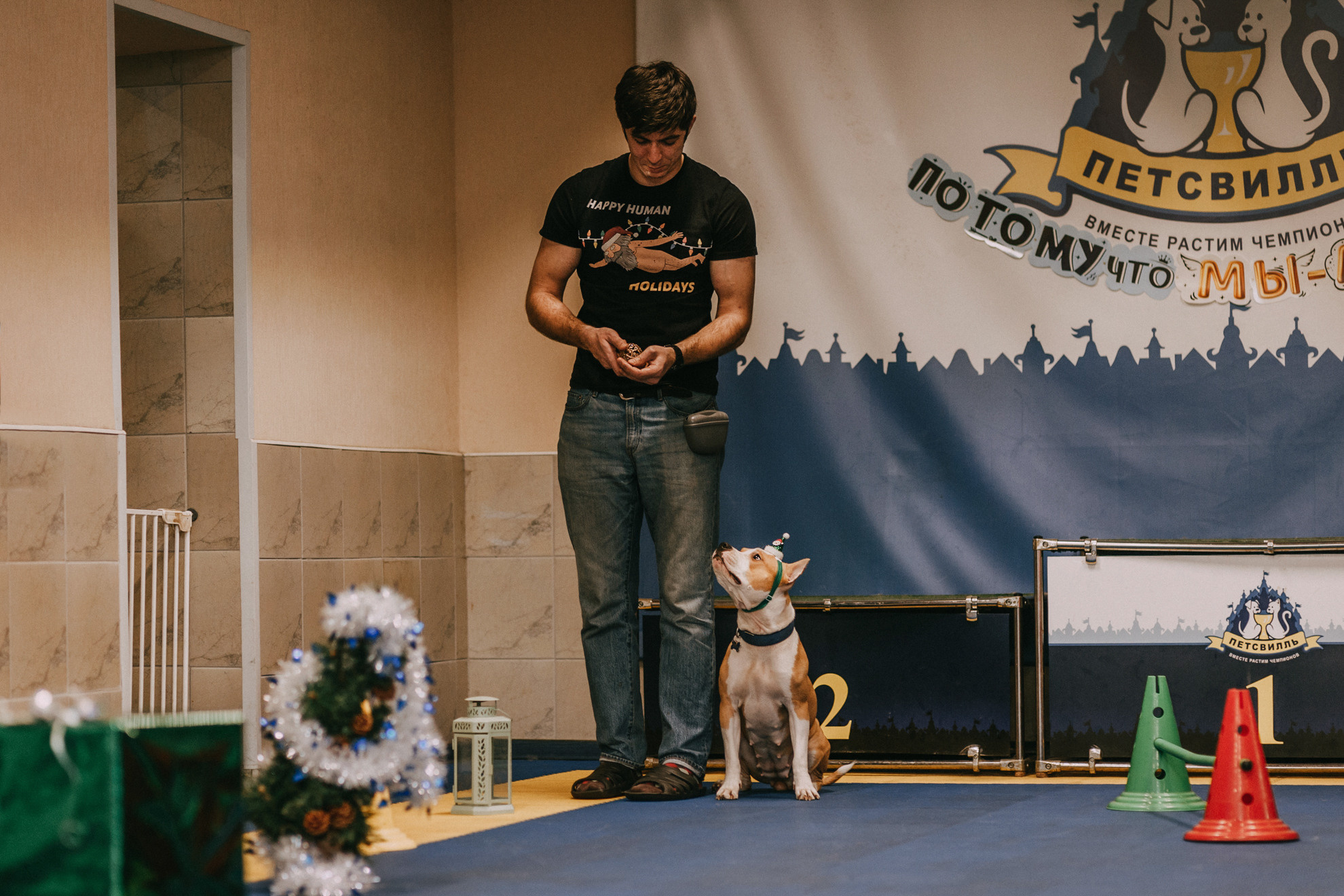 Собачий Новый год. Фотограф-анималист Елена Радченко, Москва