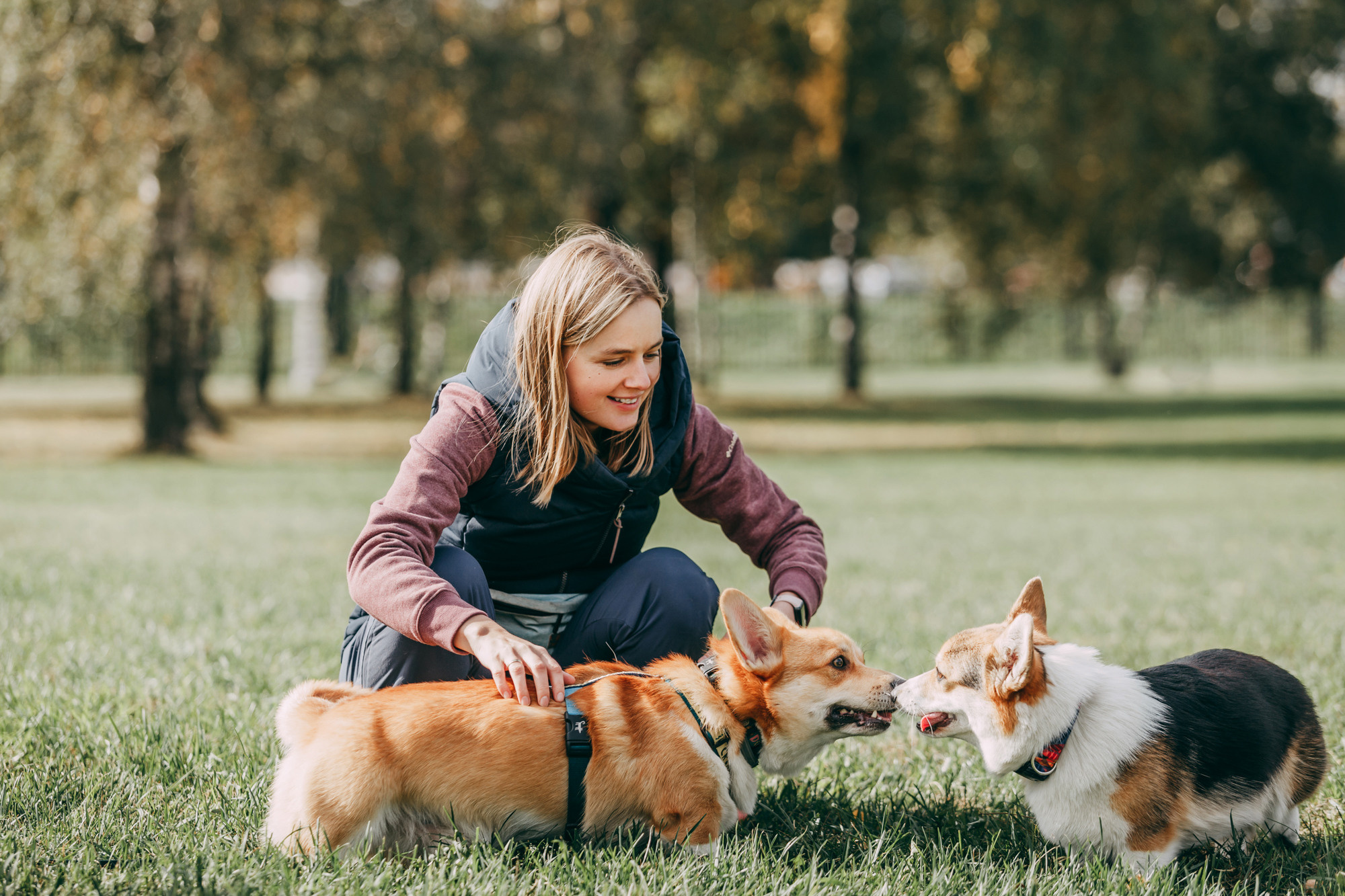 День рождения Габи. Фотограф-анималист Елена Радченко, Москва