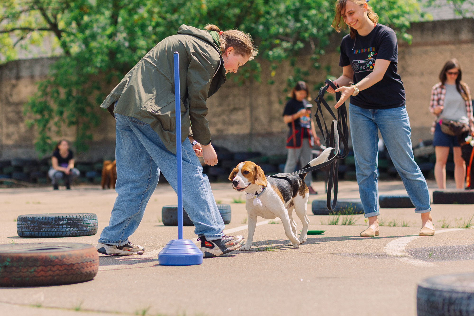 Дог-туса. Фотограф-анималист Елена Радченко, Москва