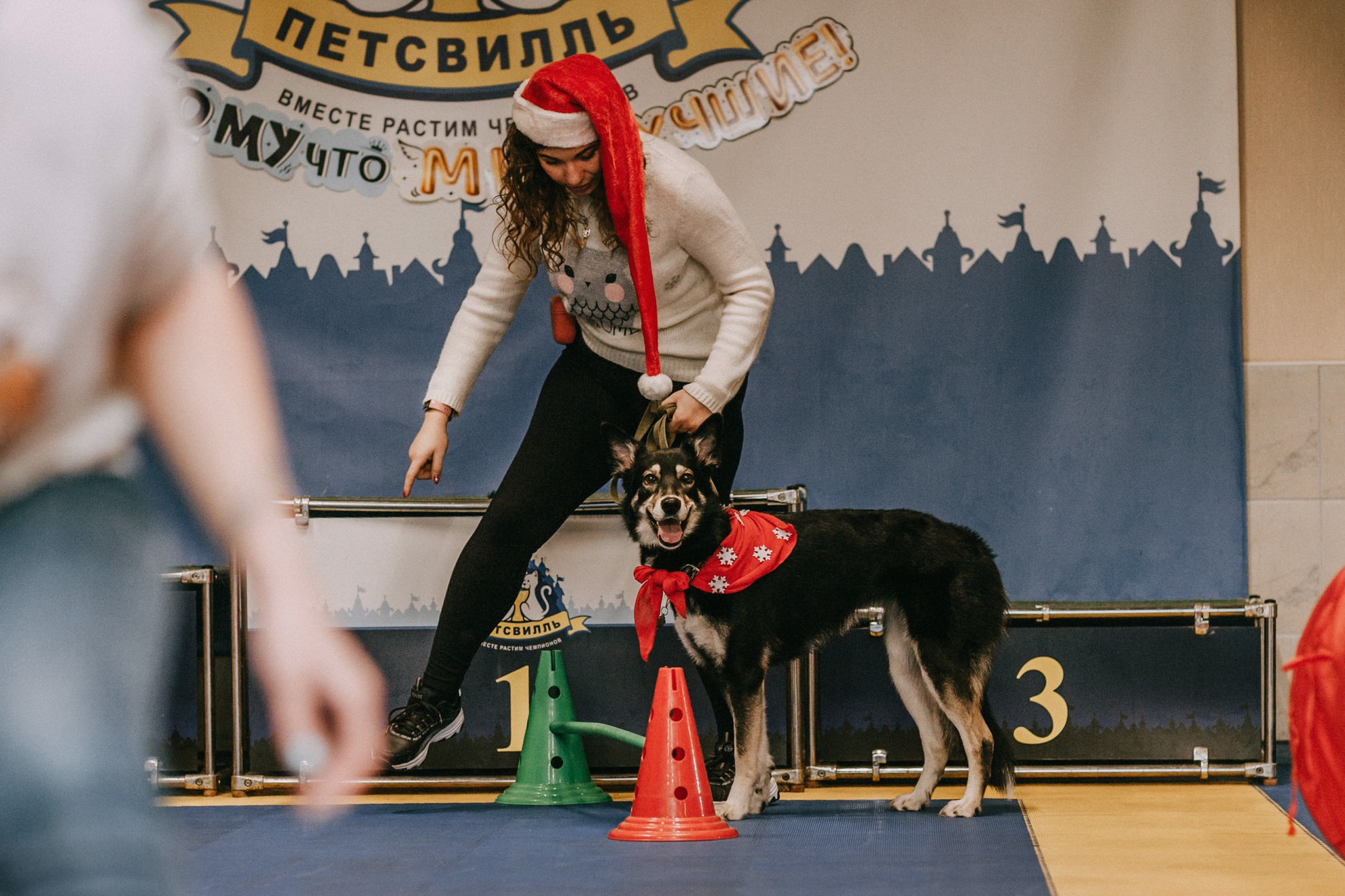 Собачий Новый год. Фотограф-анималист Елена Радченко, Москва