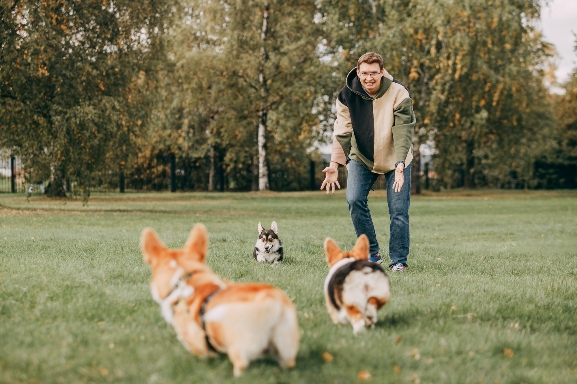 День рождения Габи. Фотограф-анималист Елена Радченко, Москва