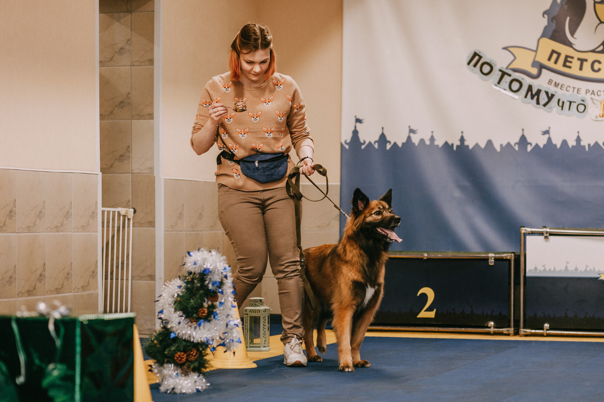 Собачий Новый год. Фотограф-анималист Елена Радченко, Москва