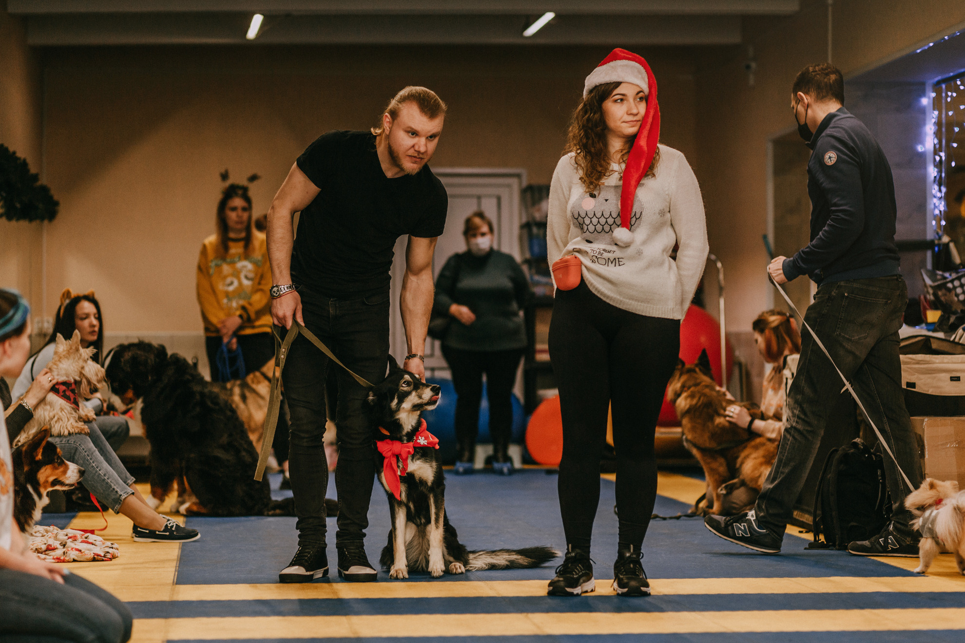 Собачий Новый год. Фотограф-анималист Елена Радченко, Москва