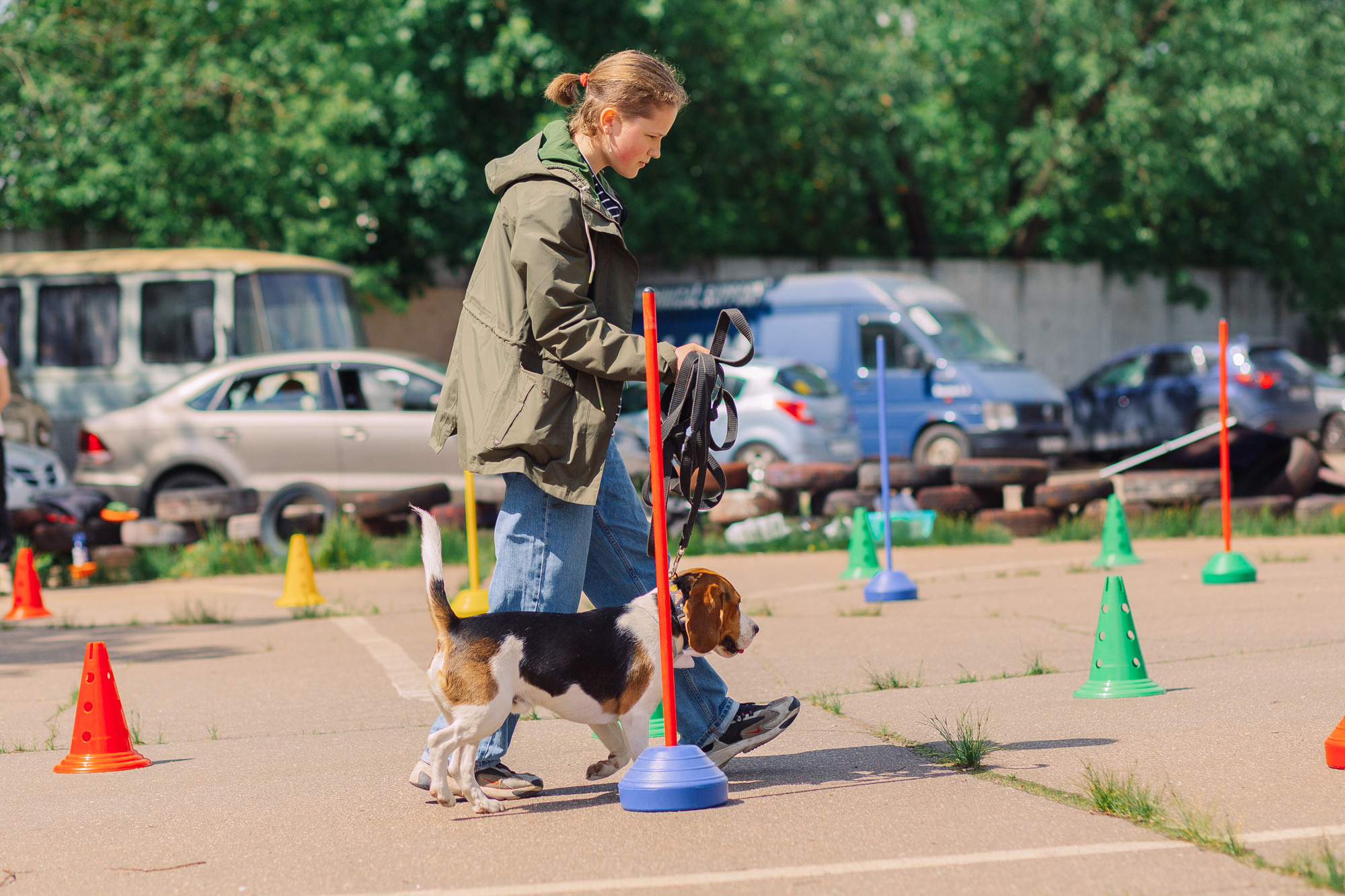 Дог-туса. Фотограф-анималист Елена Радченко, Москва