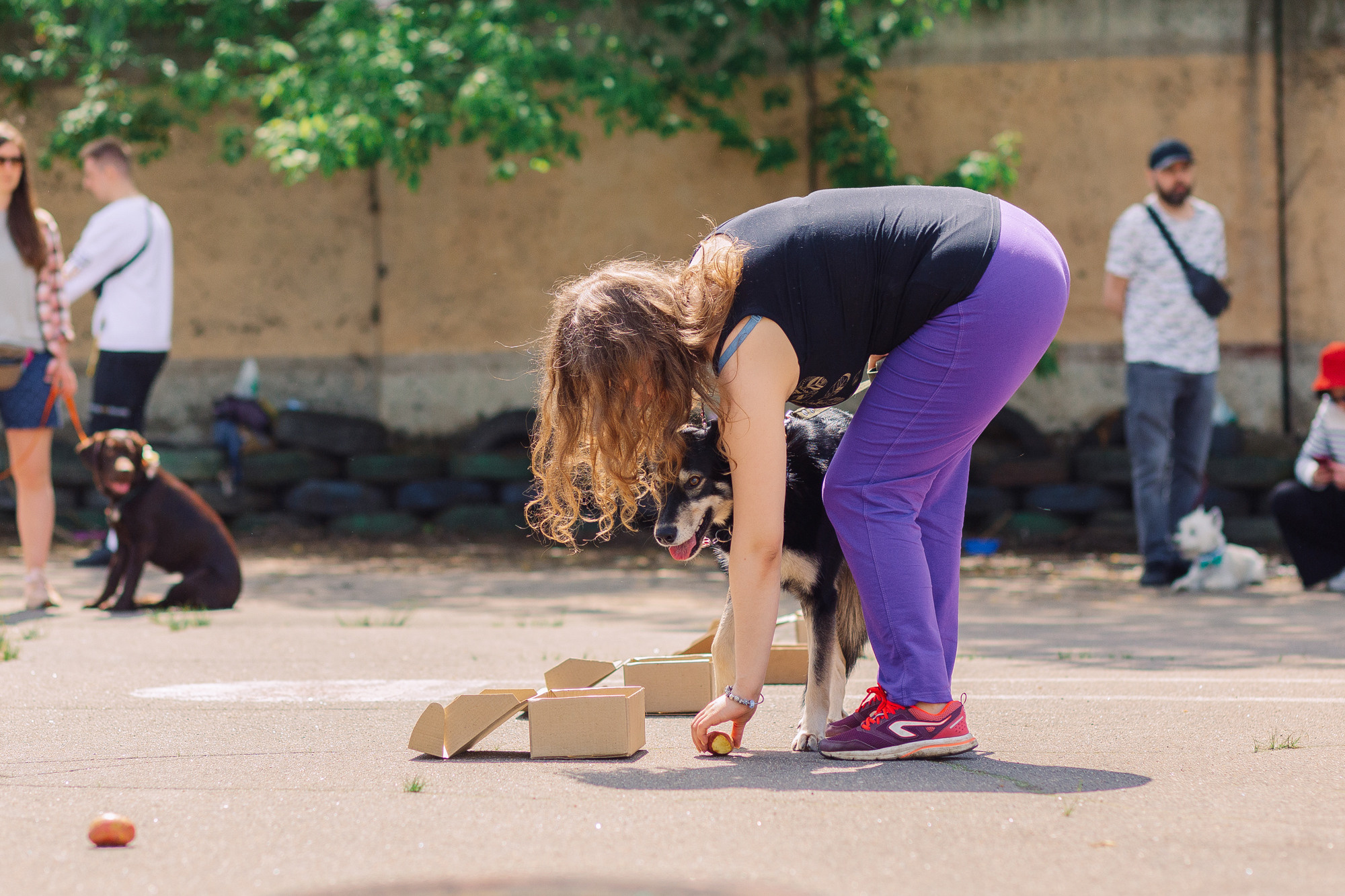 Дог-туса. Фотограф-анималист Елена Радченко, Москва