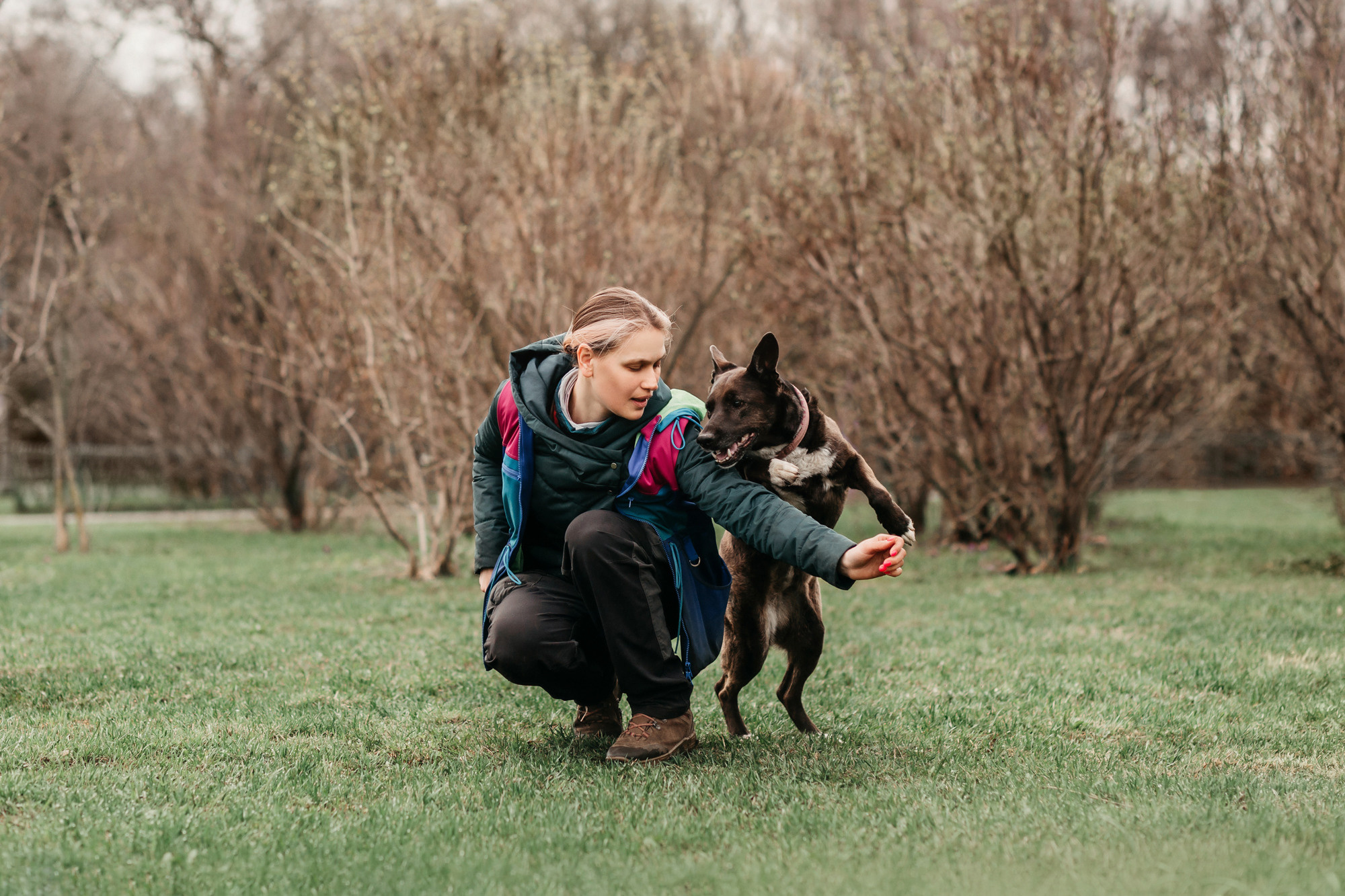 Ира, Бэлла и Альма. Фотограф-анималист Елена Радченко, Москва