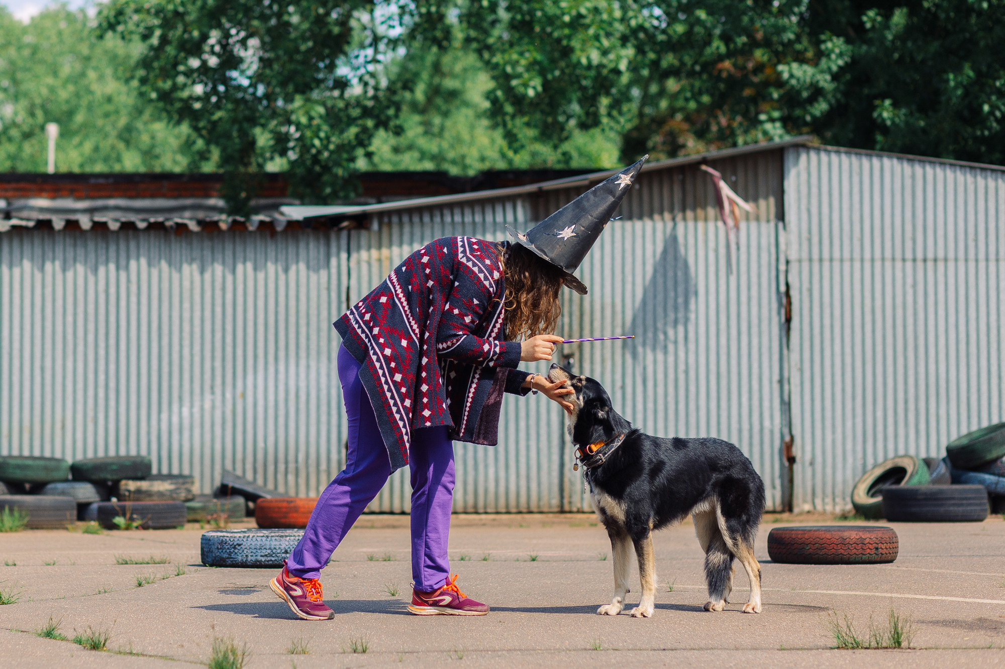 Дог-туса. Фотограф-анималист Елена Радченко, Москва