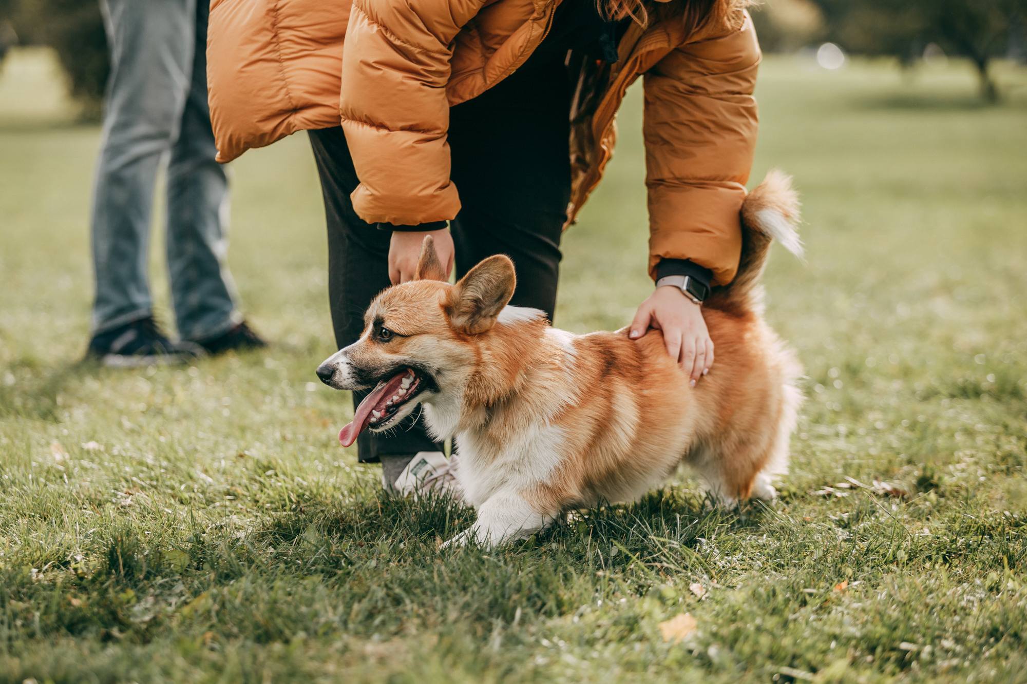 День рождения Габи. Фотограф-анималист Елена Радченко, Москва