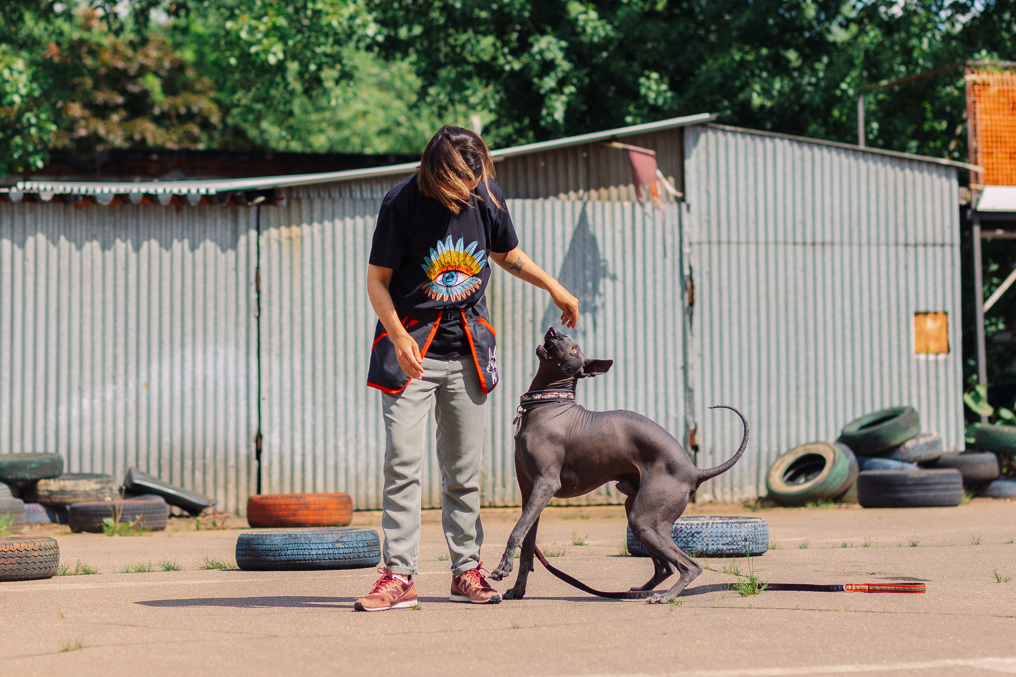 Дог-туса. Фотограф-анималист Елена Радченко, Москва