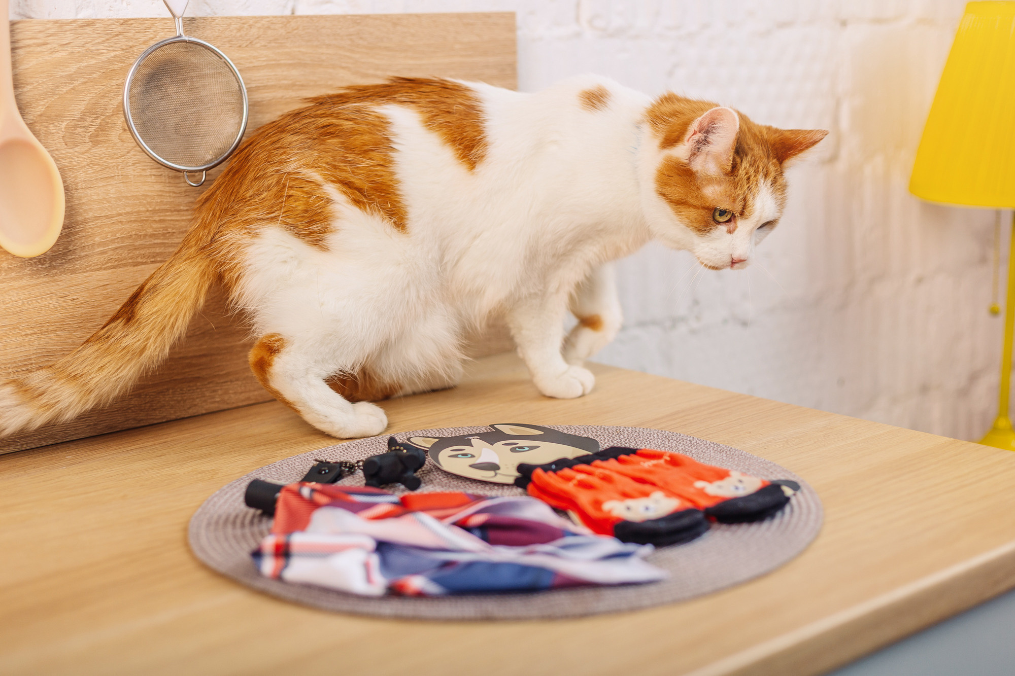 Магазин Friend of mine. Фотограф-анималист Елена Радченко, Москва