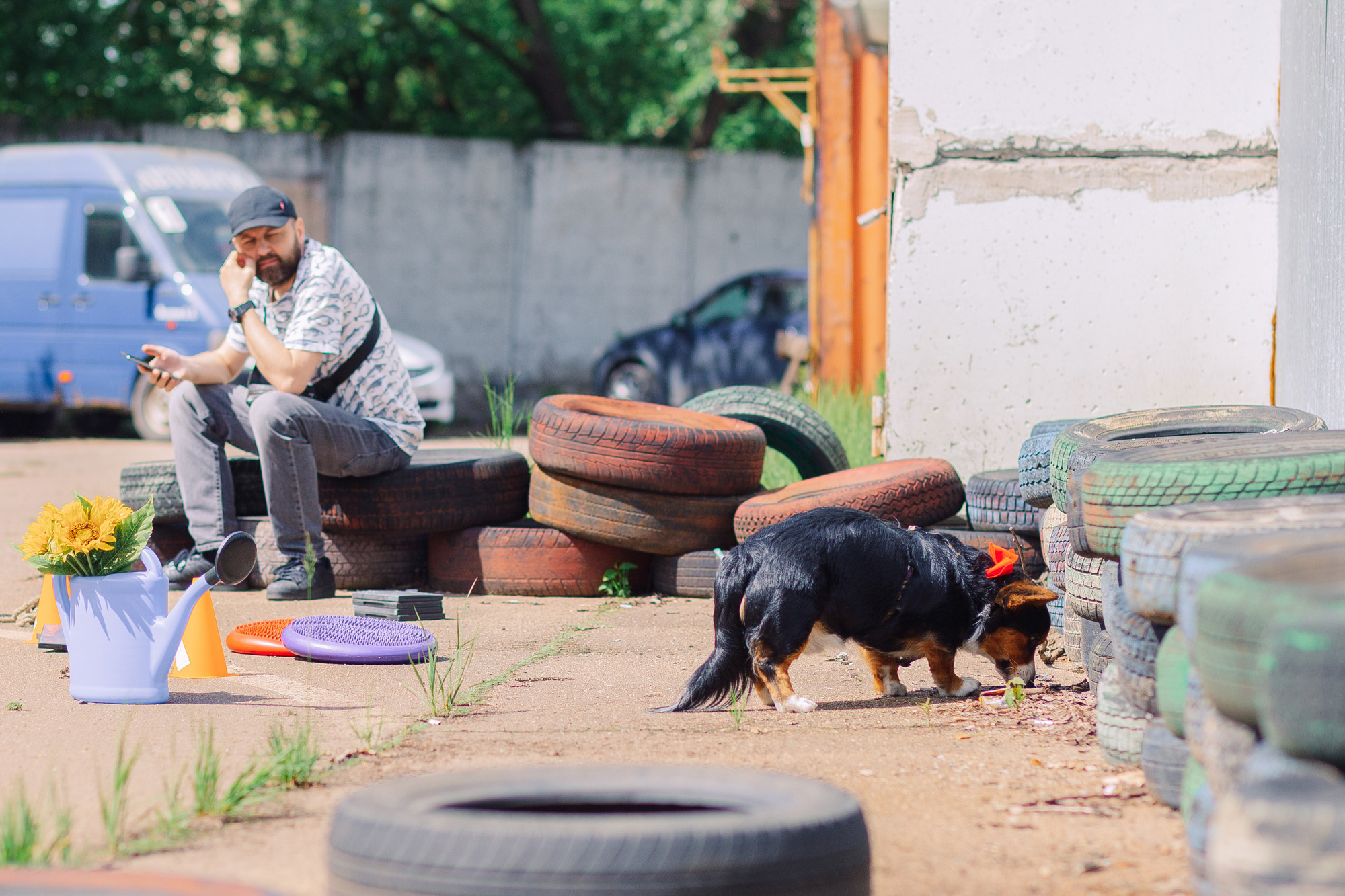 Дог-туса. Фотограф-анималист Елена Радченко, Москва