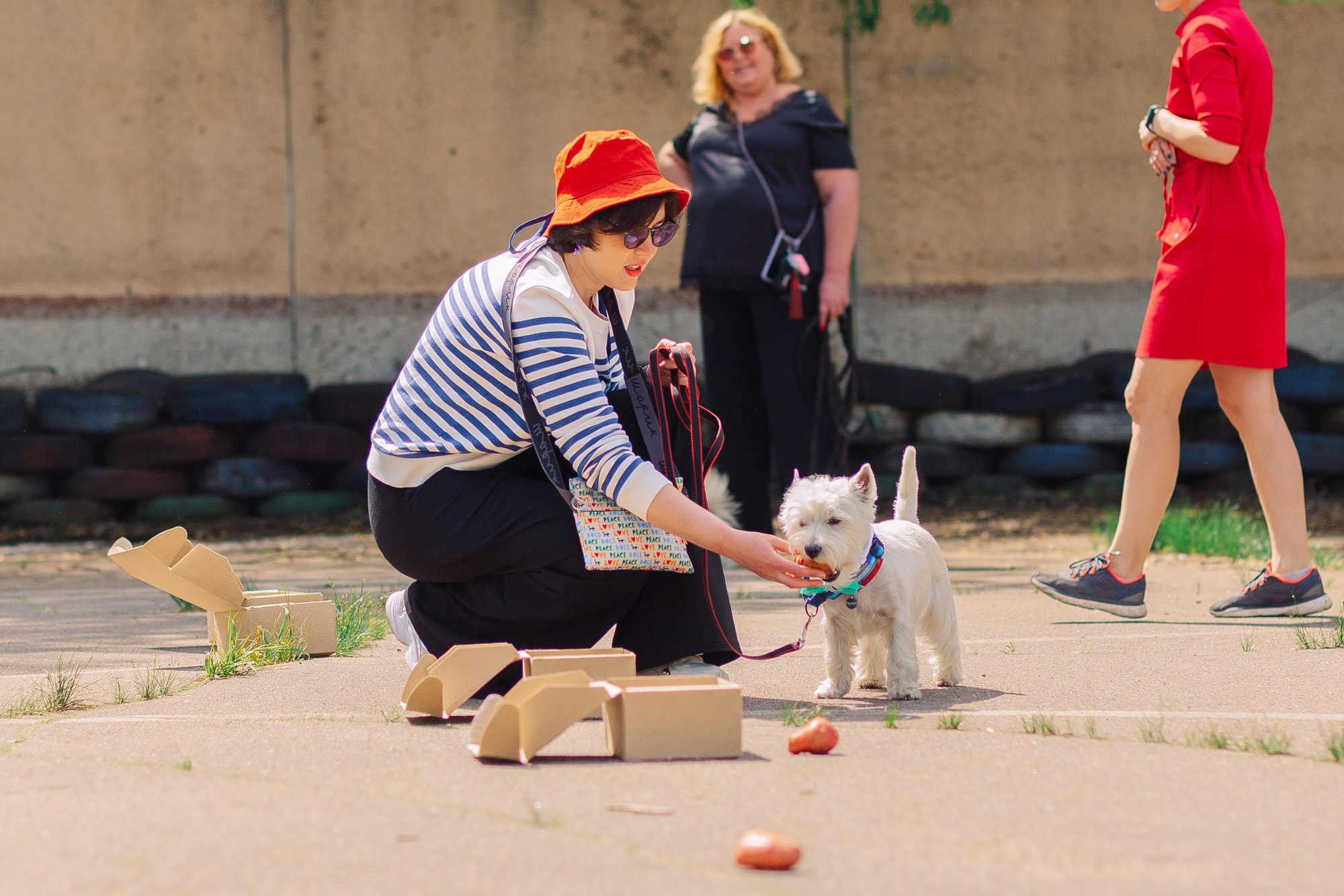 Дог-туса. Фотограф-анималист Елена Радченко, Москва