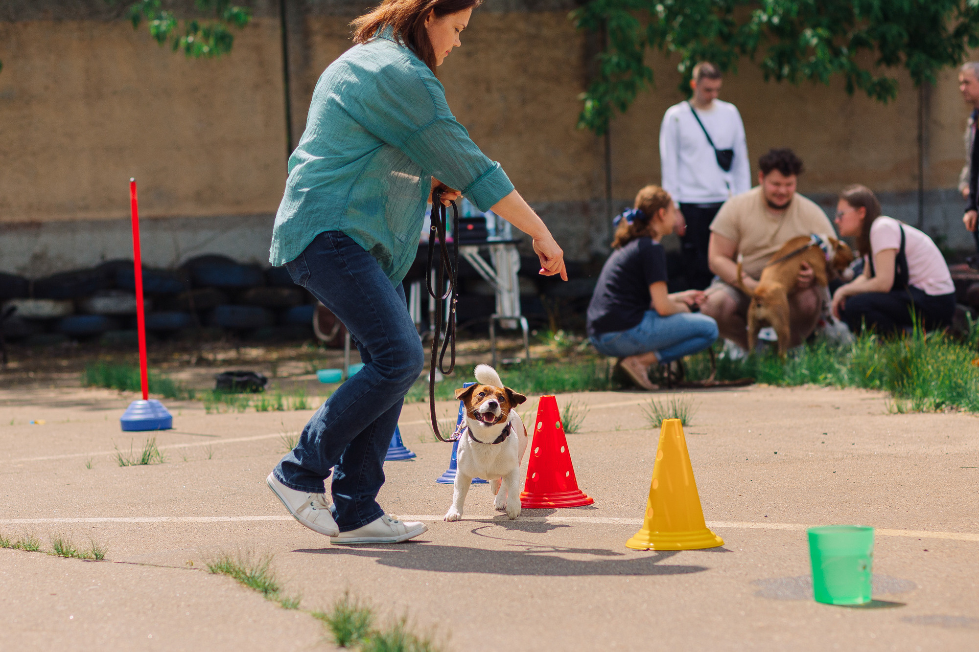 Дог-туса. Фотограф-анималист Елена Радченко, Москва