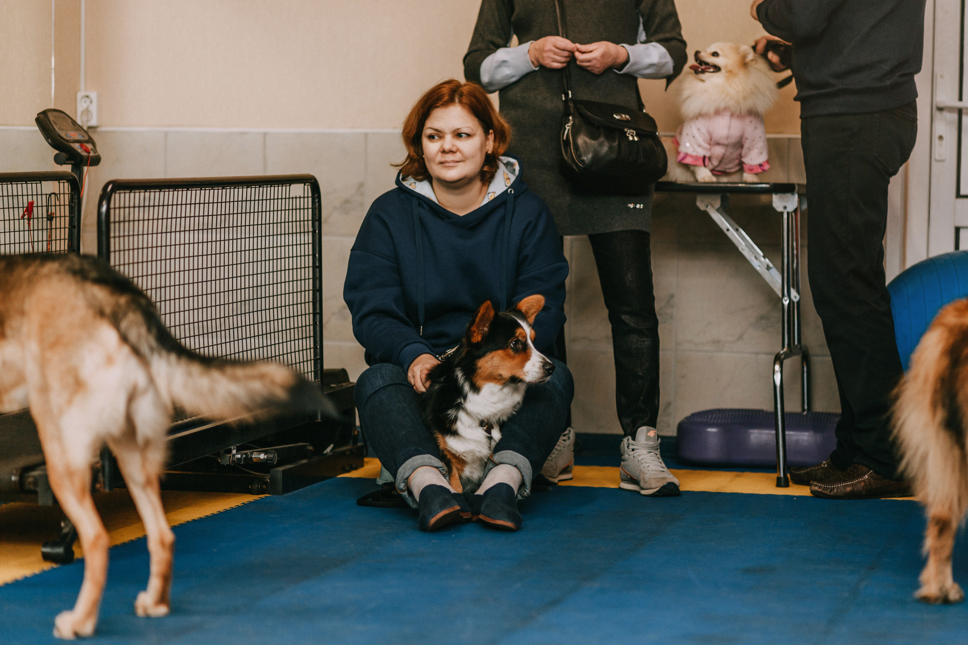 Собачий Новый год. Фотограф-анималист Елена Радченко, Москва