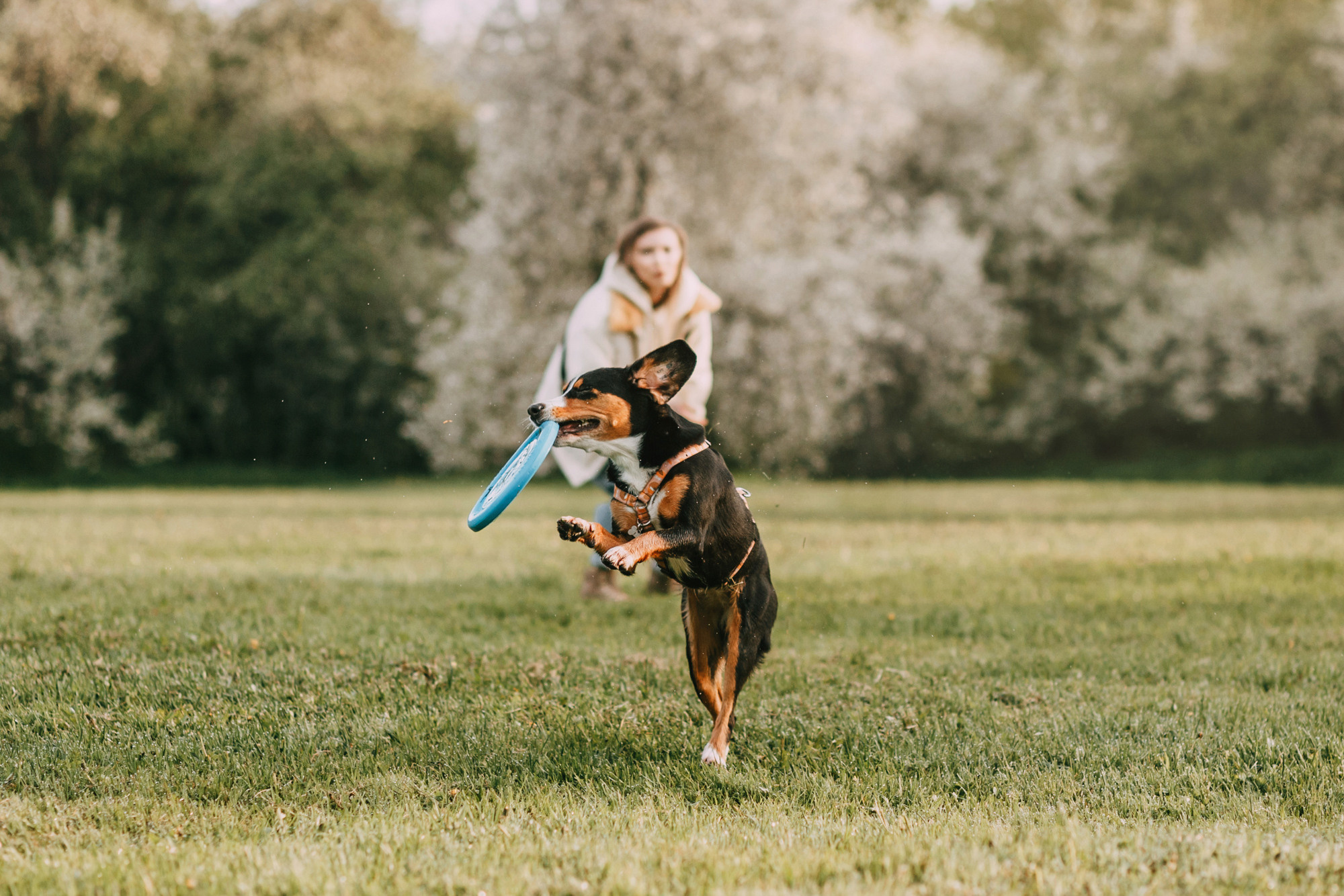 Аня и Вафля. Фотограф-анималист Елена Радченко, Москва