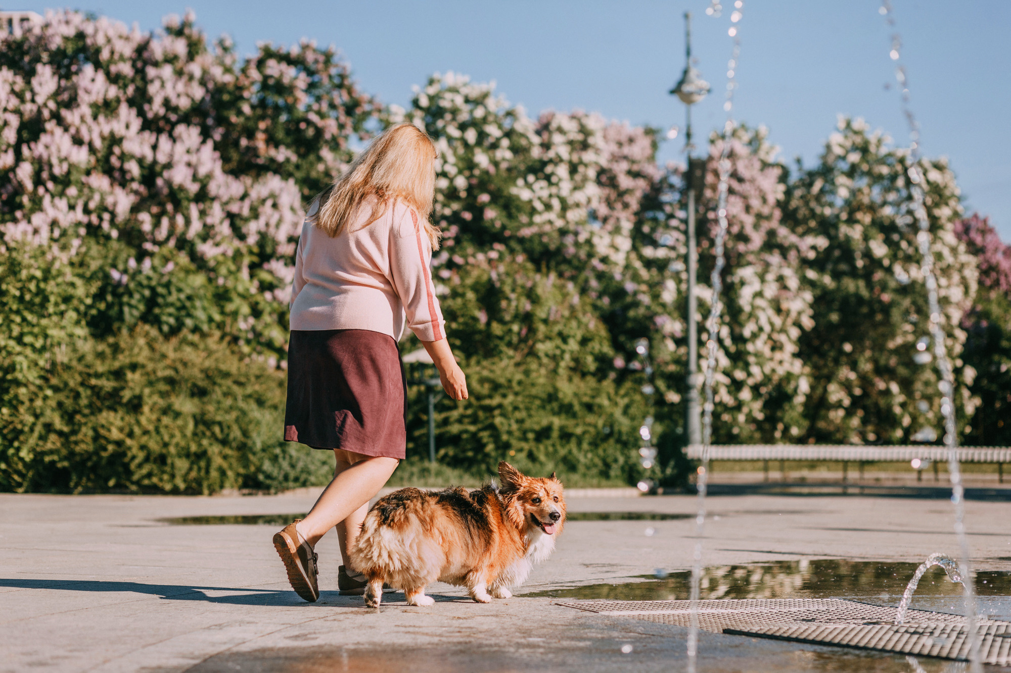 Аша и Робби. Фотограф-анималист Елена Радченко, Москва