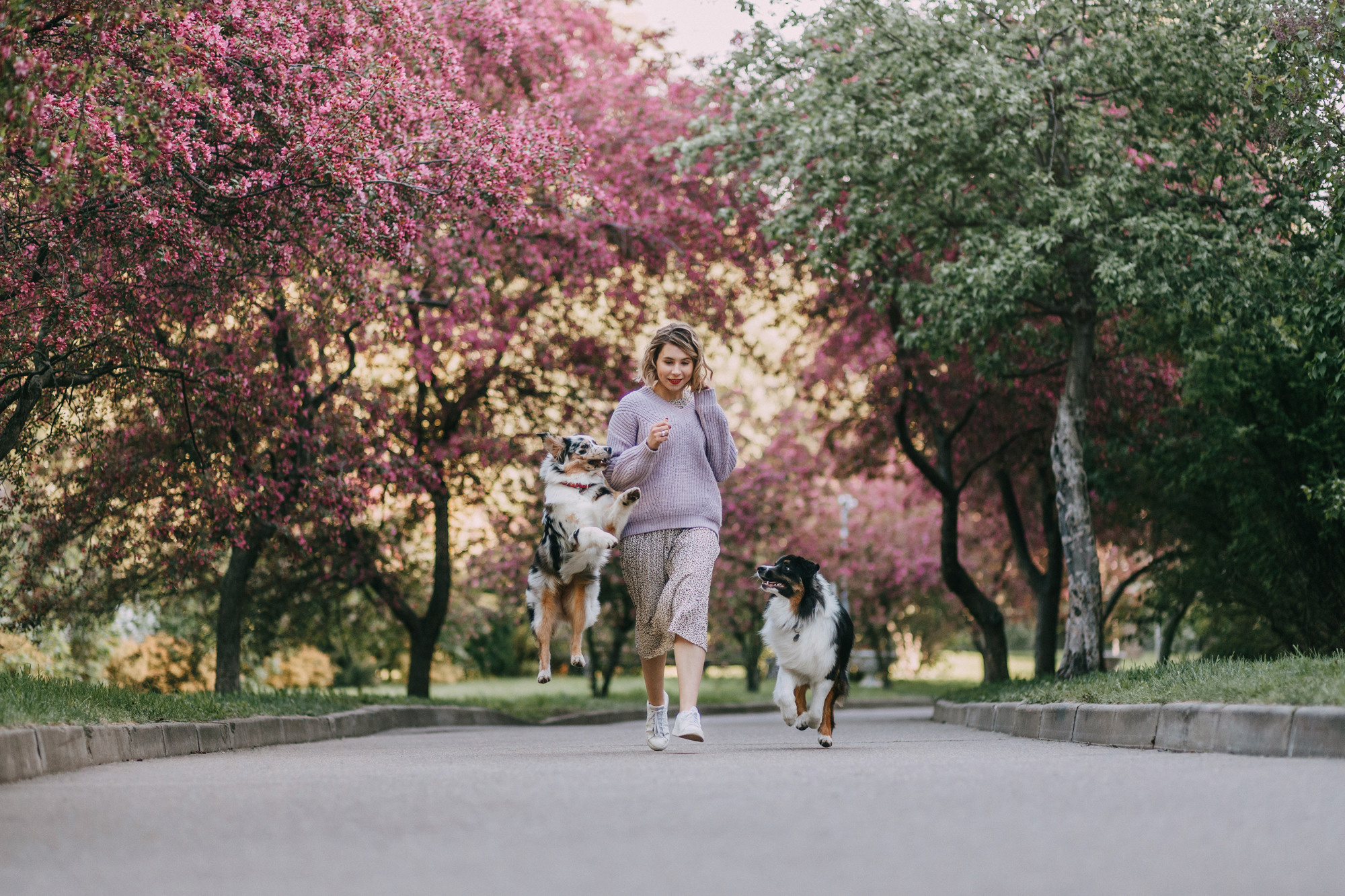 Анна, Чарли и Ева. Фотограф-анималист Елена Радченко, Москва