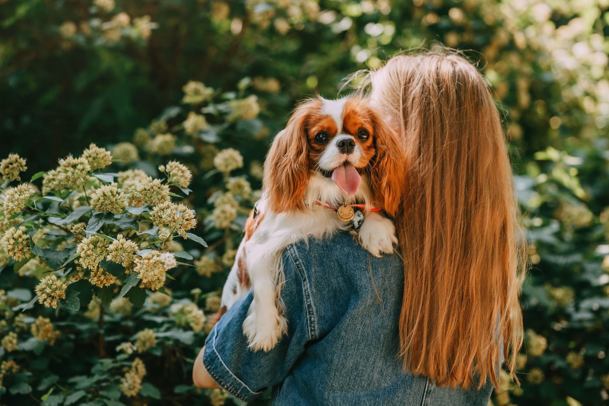 Анастасия и Марсель. Фотограф-анималист Елена Радченко, Москва