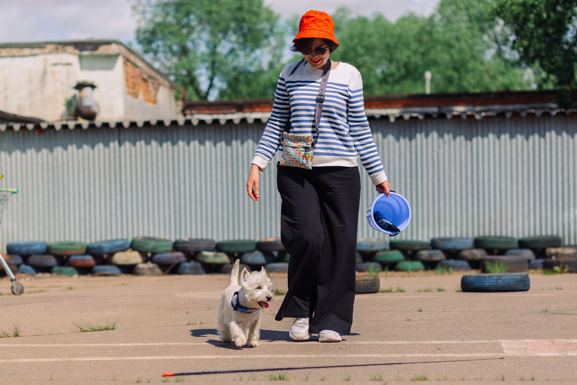 Дог-туса. Фотограф-анималист Елена Радченко, Москва