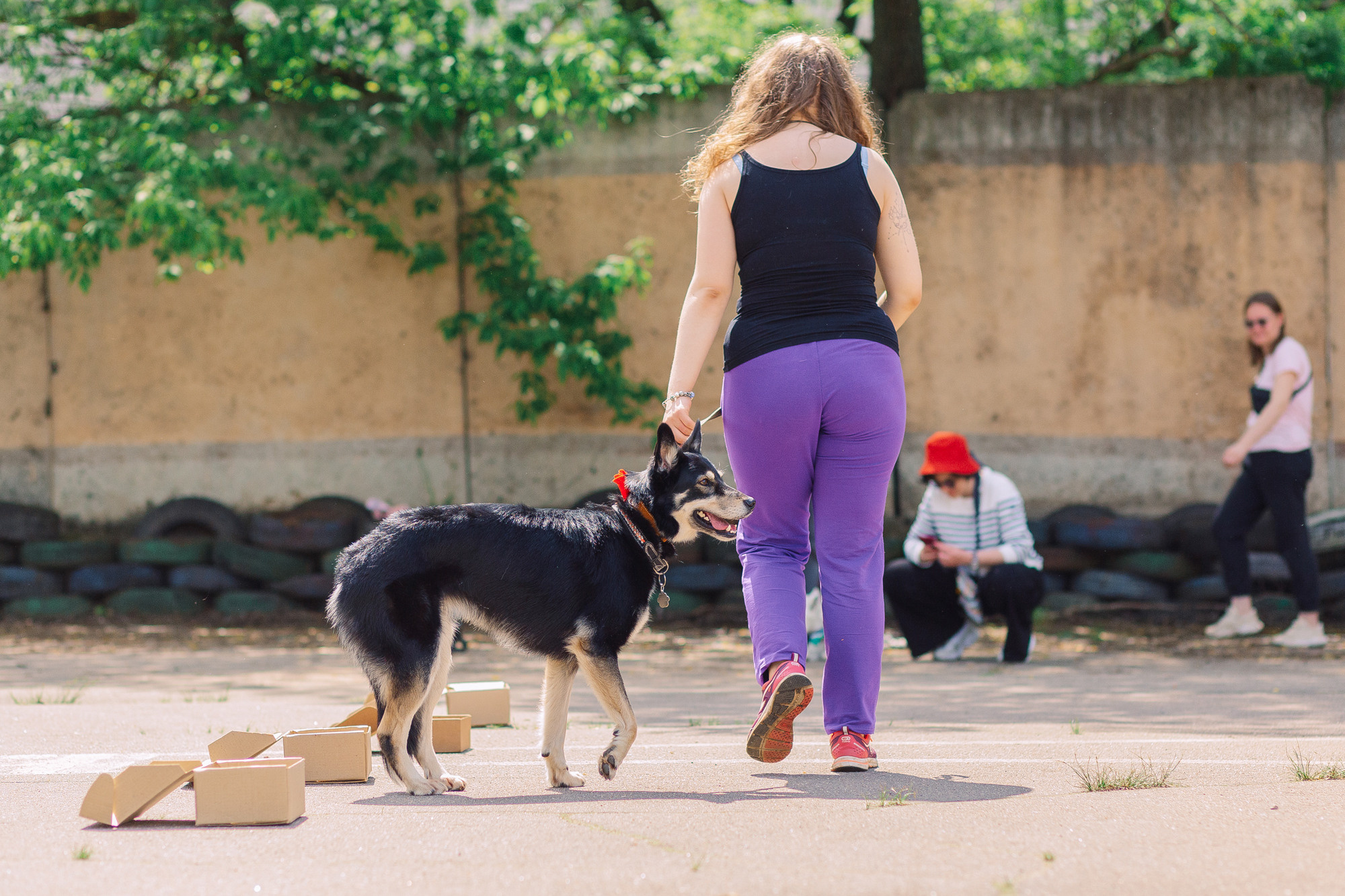Дог-туса. Фотограф-анималист Елена Радченко, Москва
