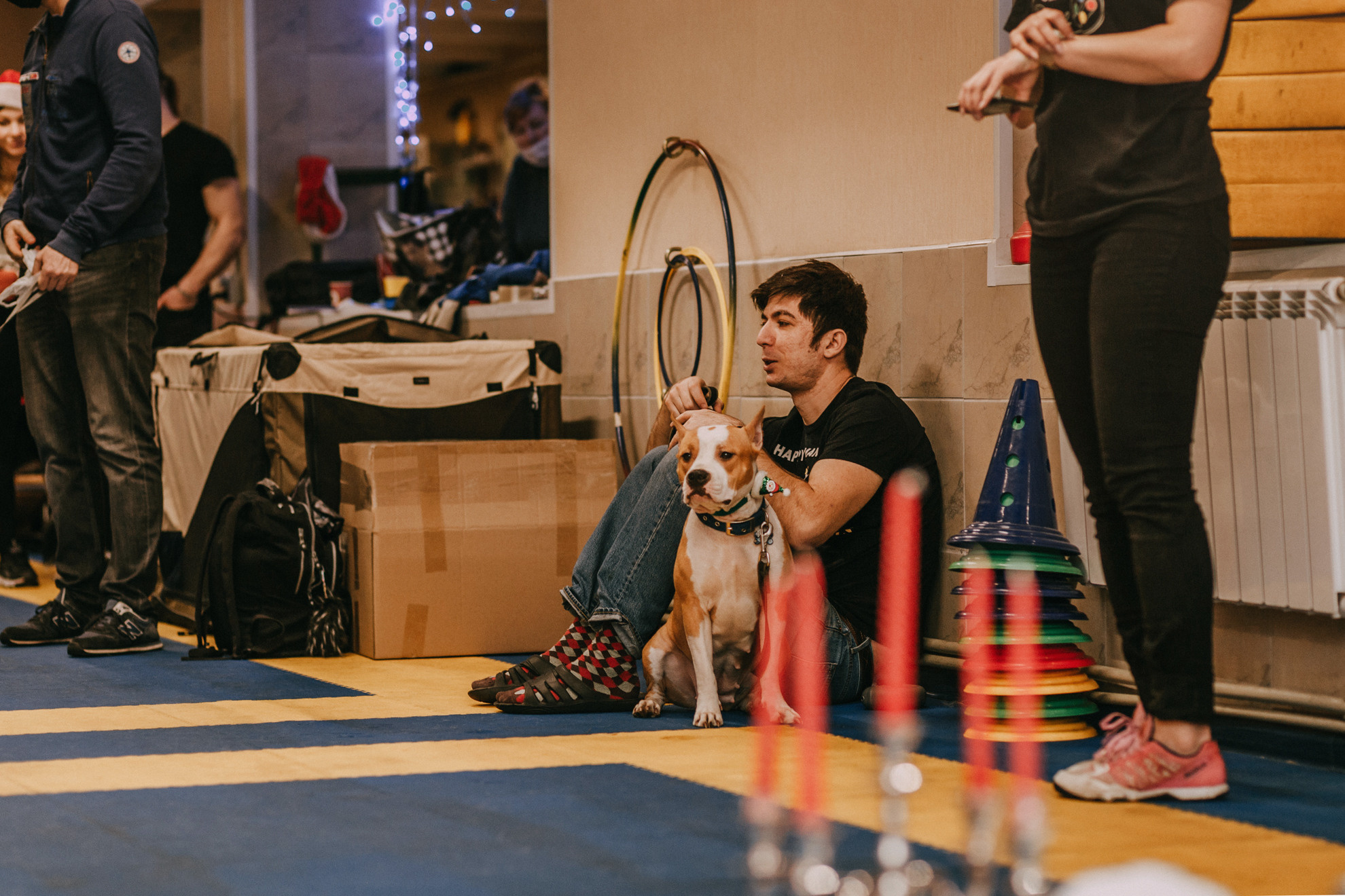 Собачий Новый год. Фотограф-анималист Елена Радченко, Москва