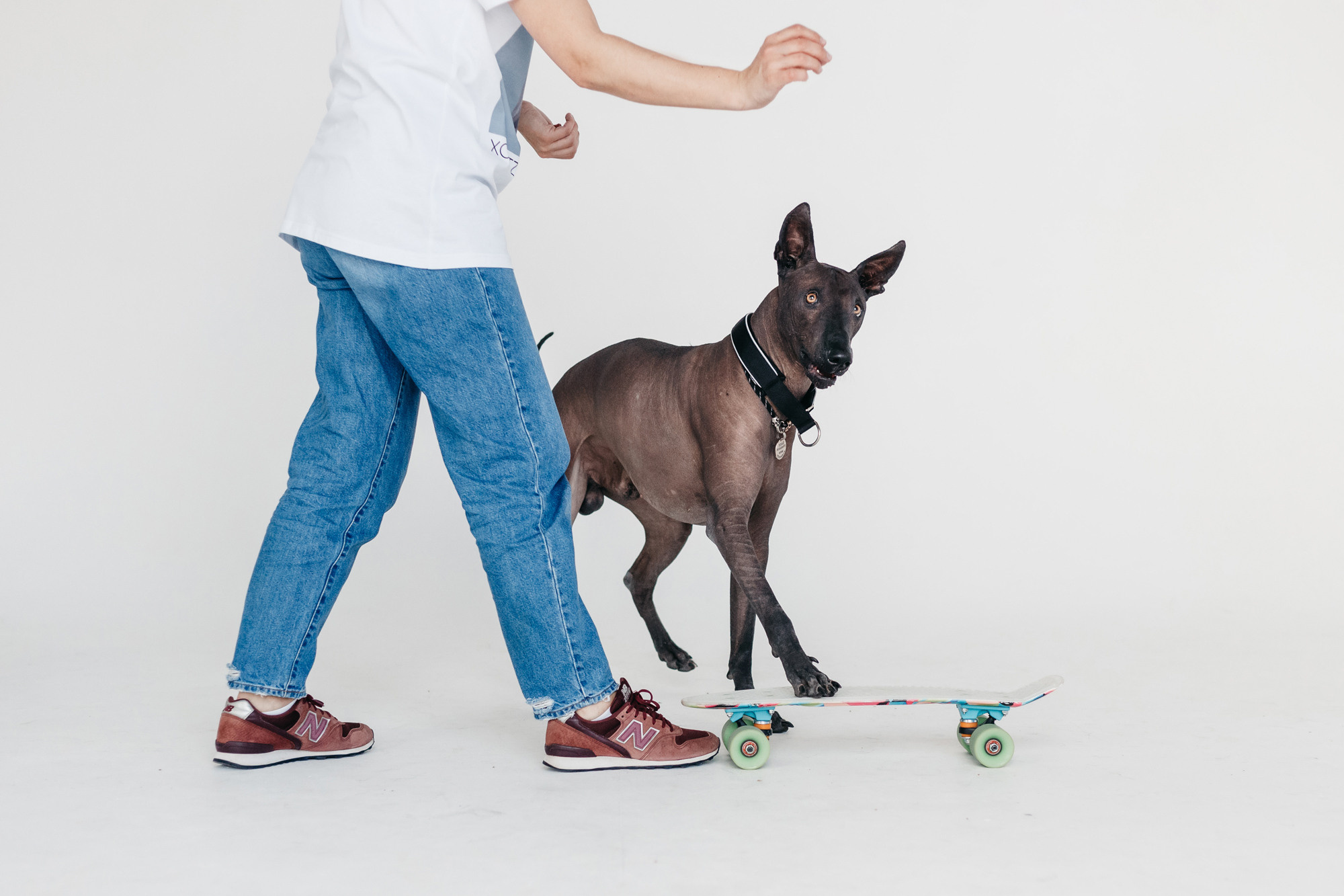 Фотодень 9 апреля. Фотограф-анималист Елена Радченко, Москва