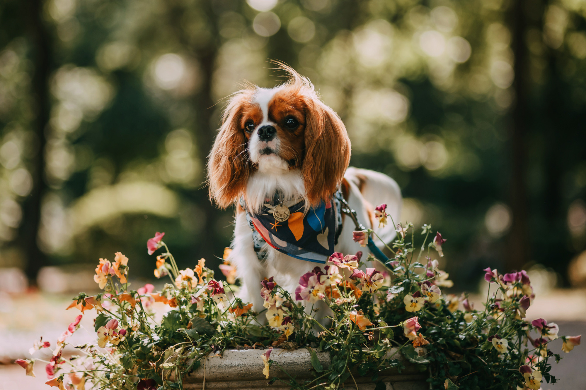 Анастасия и Марсель. Фотограф-анималист Елена Радченко, Москва