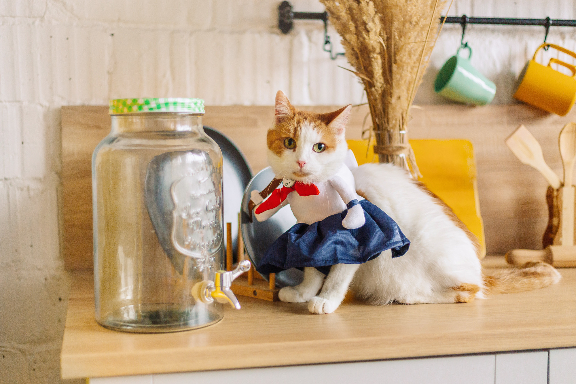 Магазин Friend of mine. Фотограф-анималист Елена Радченко, Москва