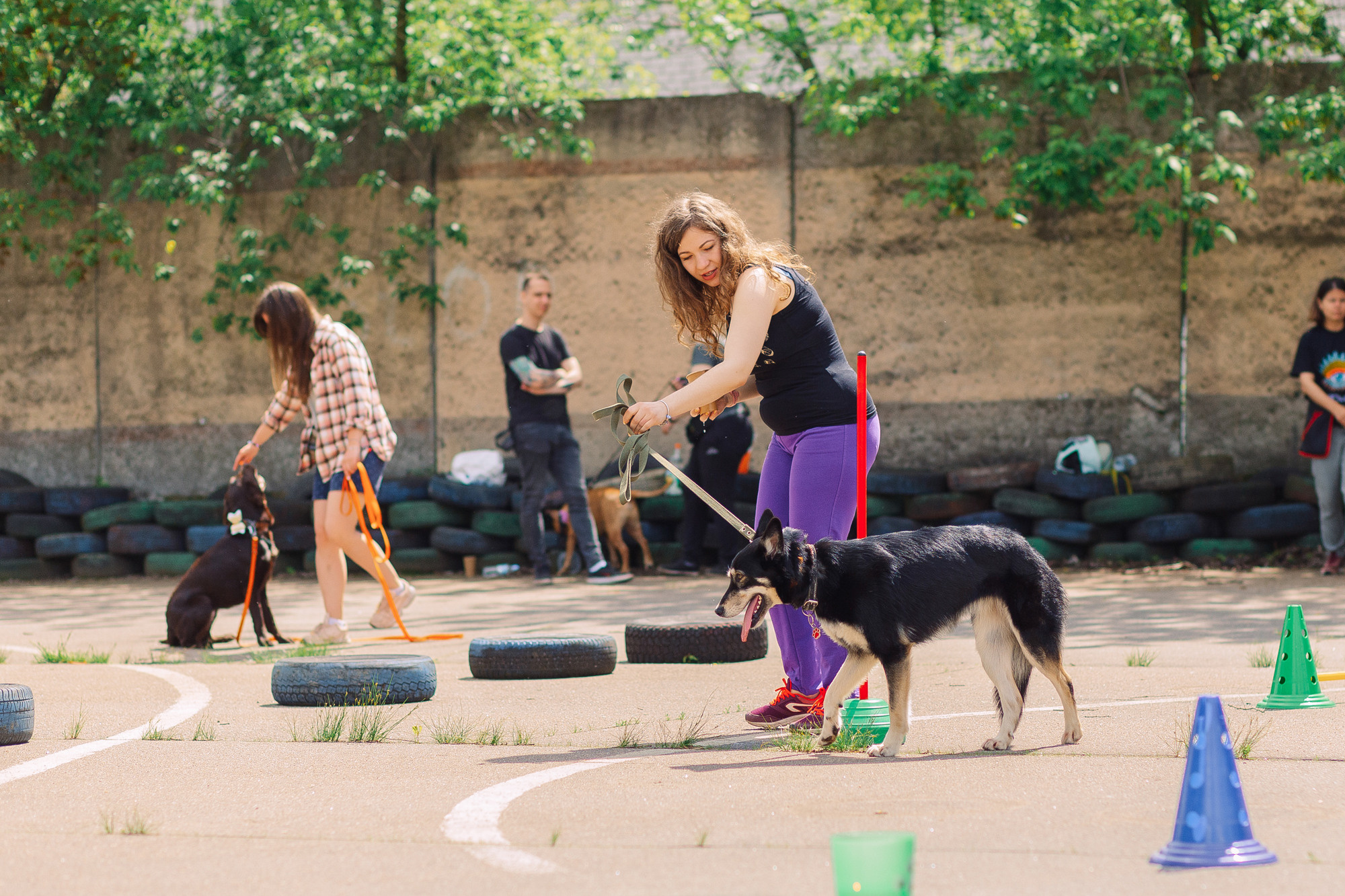 Дог-туса. Фотограф-анималист Елена Радченко, Москва