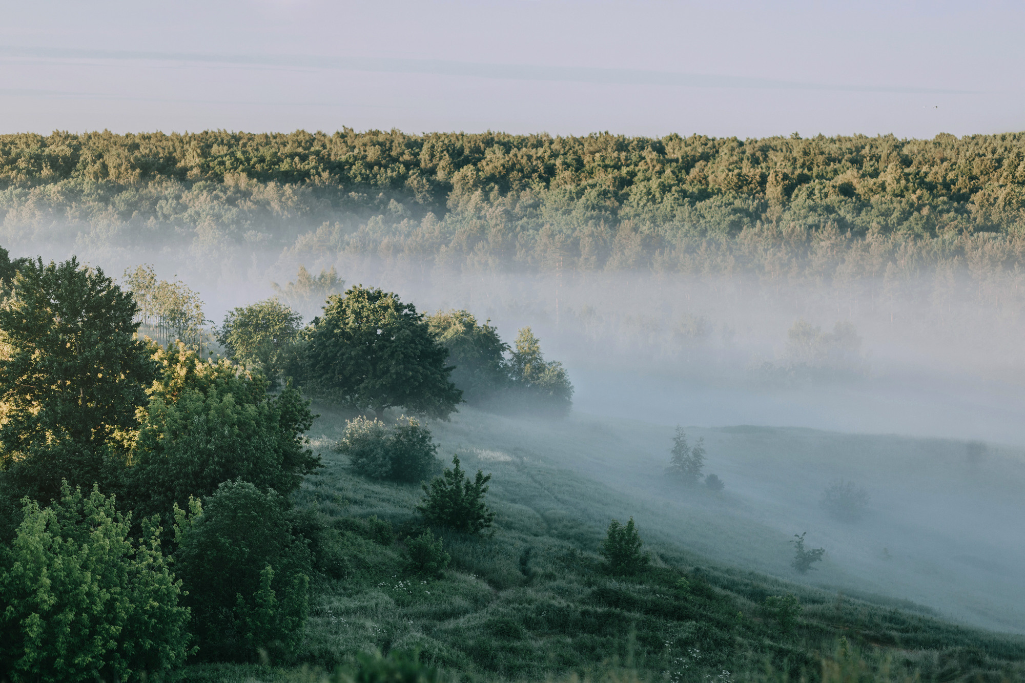 Лида и Яра. Фотограф-анималист Елена Радченко, Москва