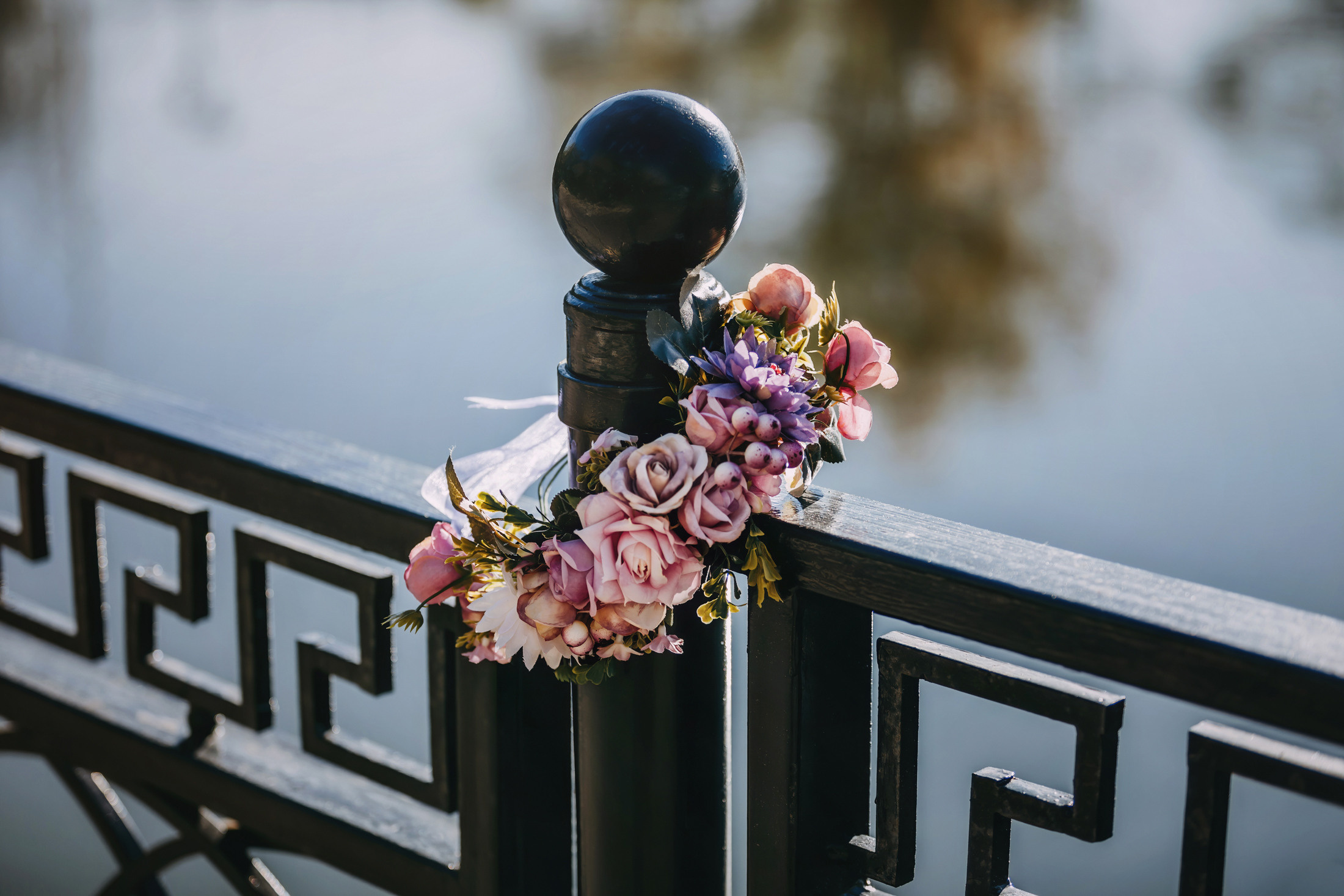 Вилла. Фотограф-анималист Елена Радченко, Москва