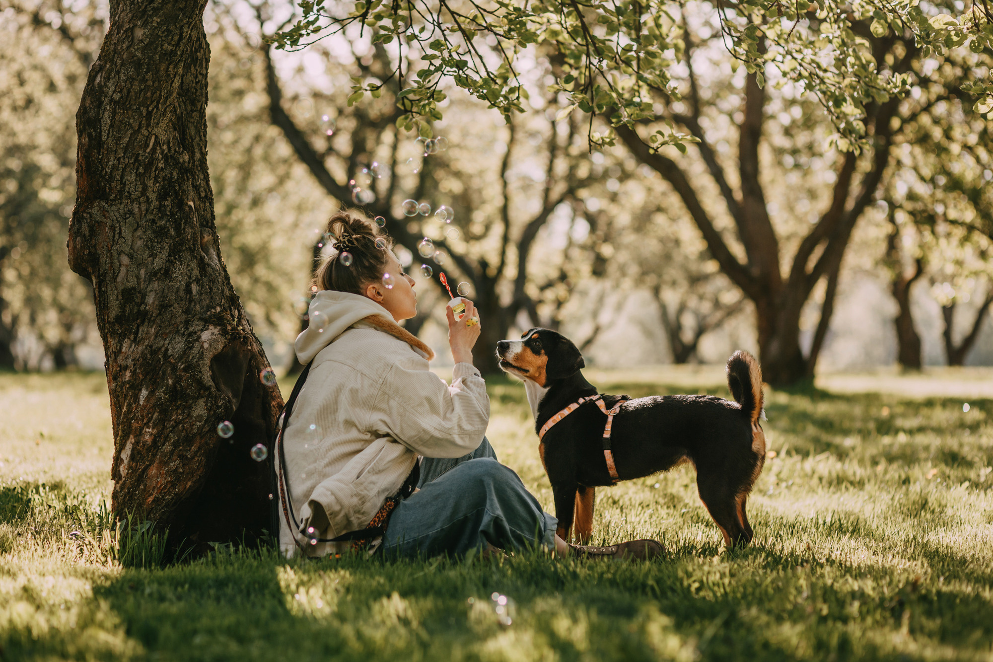 Аня и Вафля. Фотограф-анималист Елена Радченко, Москва