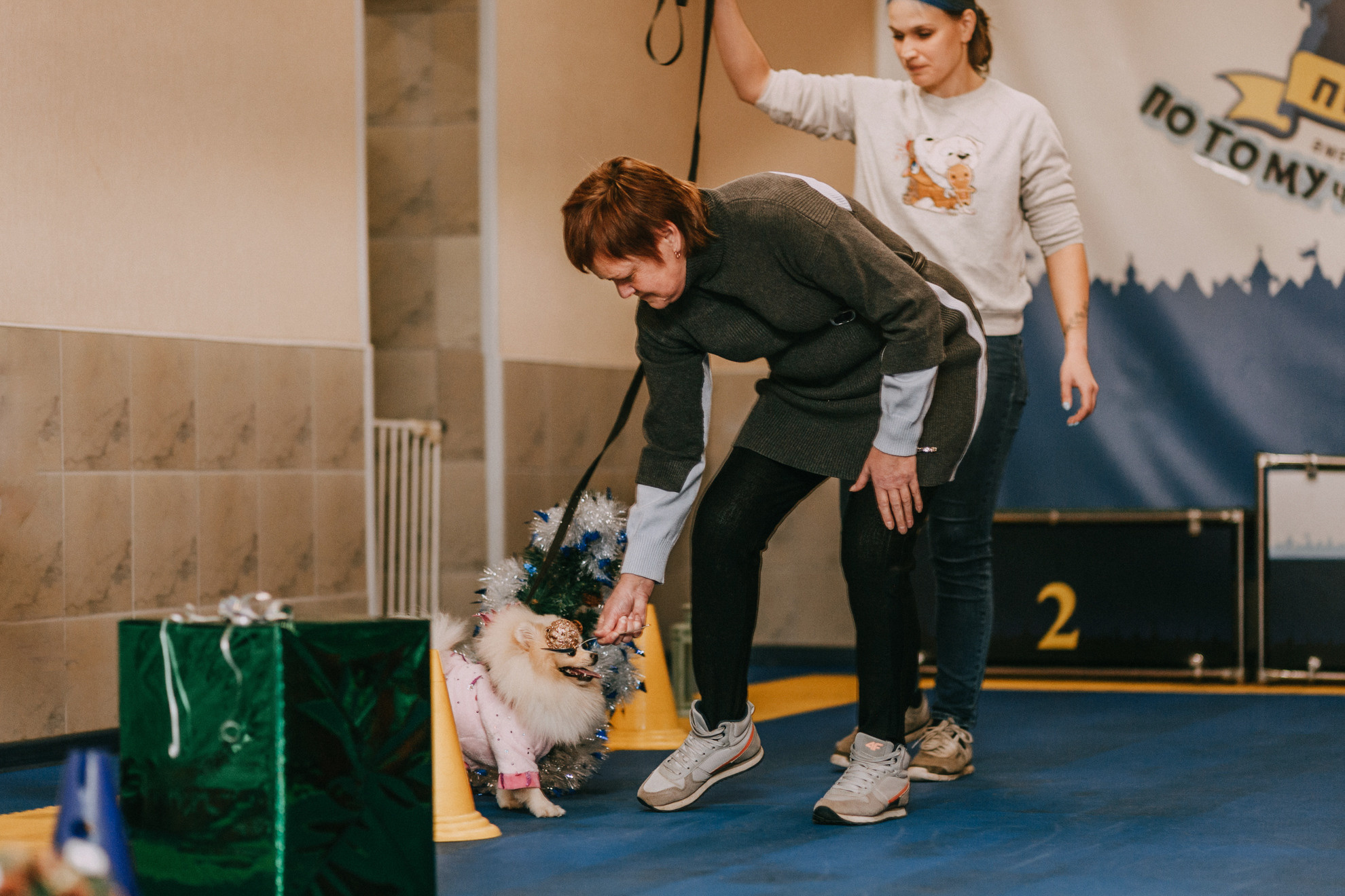 Собачий Новый год. Фотограф-анималист Елена Радченко, Москва