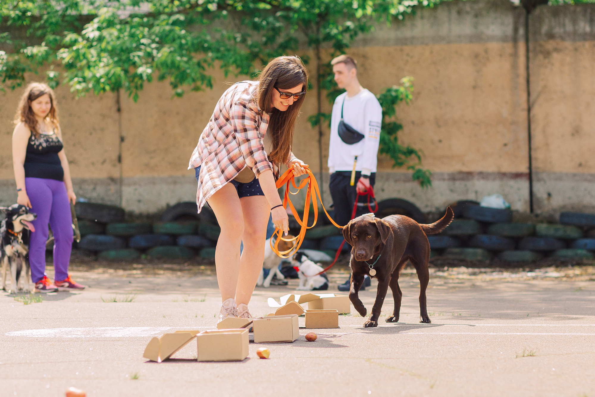 Дог-туса. Фотограф-анималист Елена Радченко, Москва