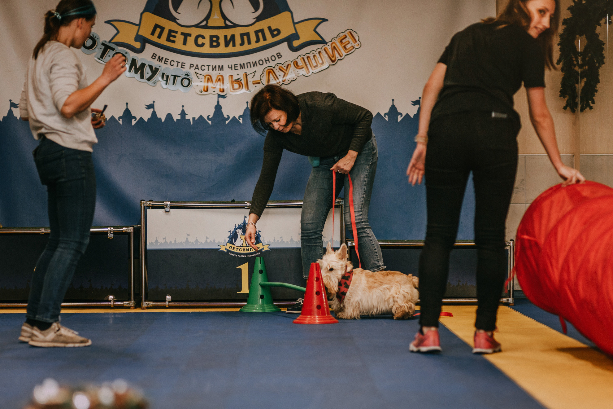 Собачий Новый год. Фотограф-анималист Елена Радченко, Москва