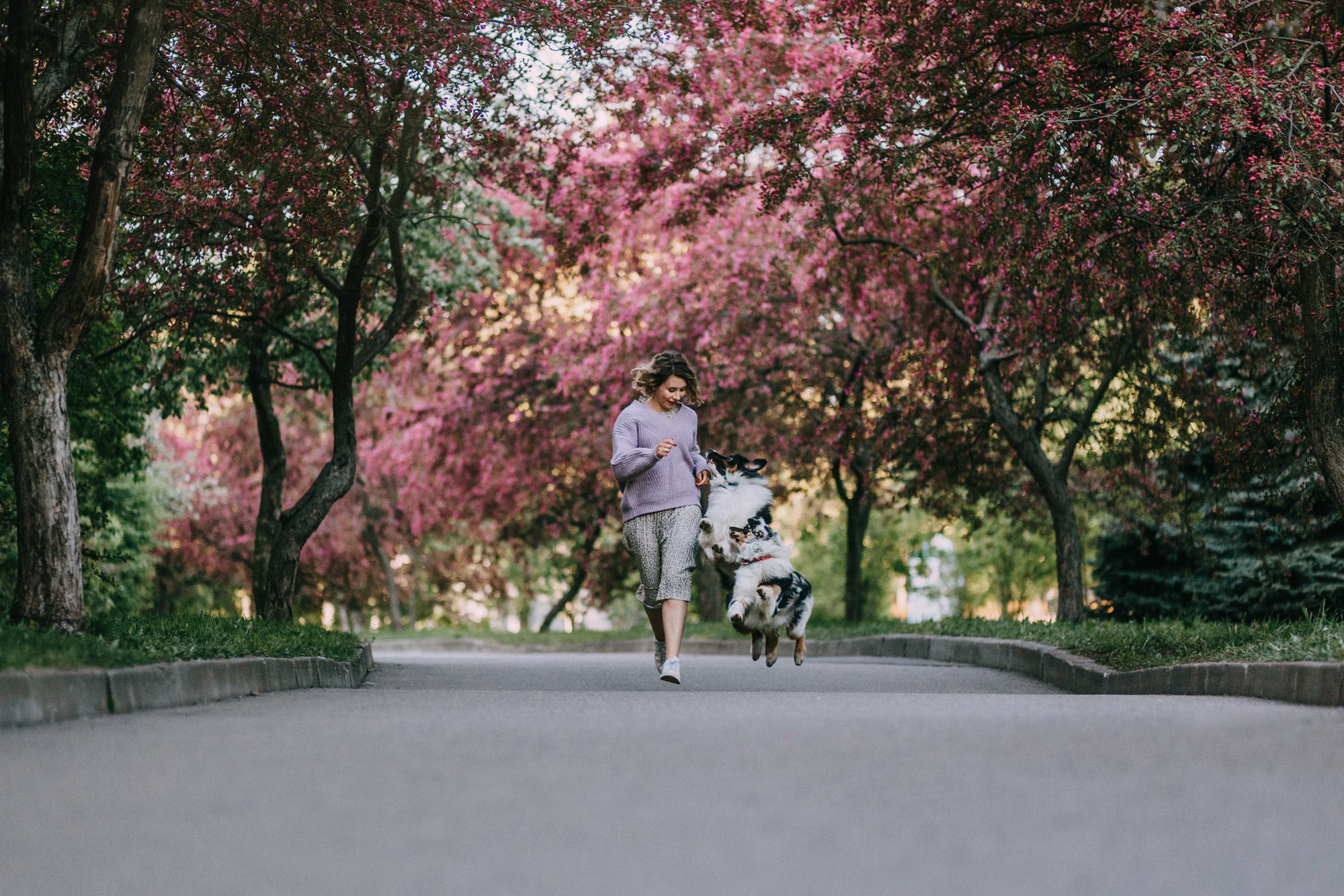 Анна, Чарли и Ева. Фотограф-анималист Елена Радченко, Москва