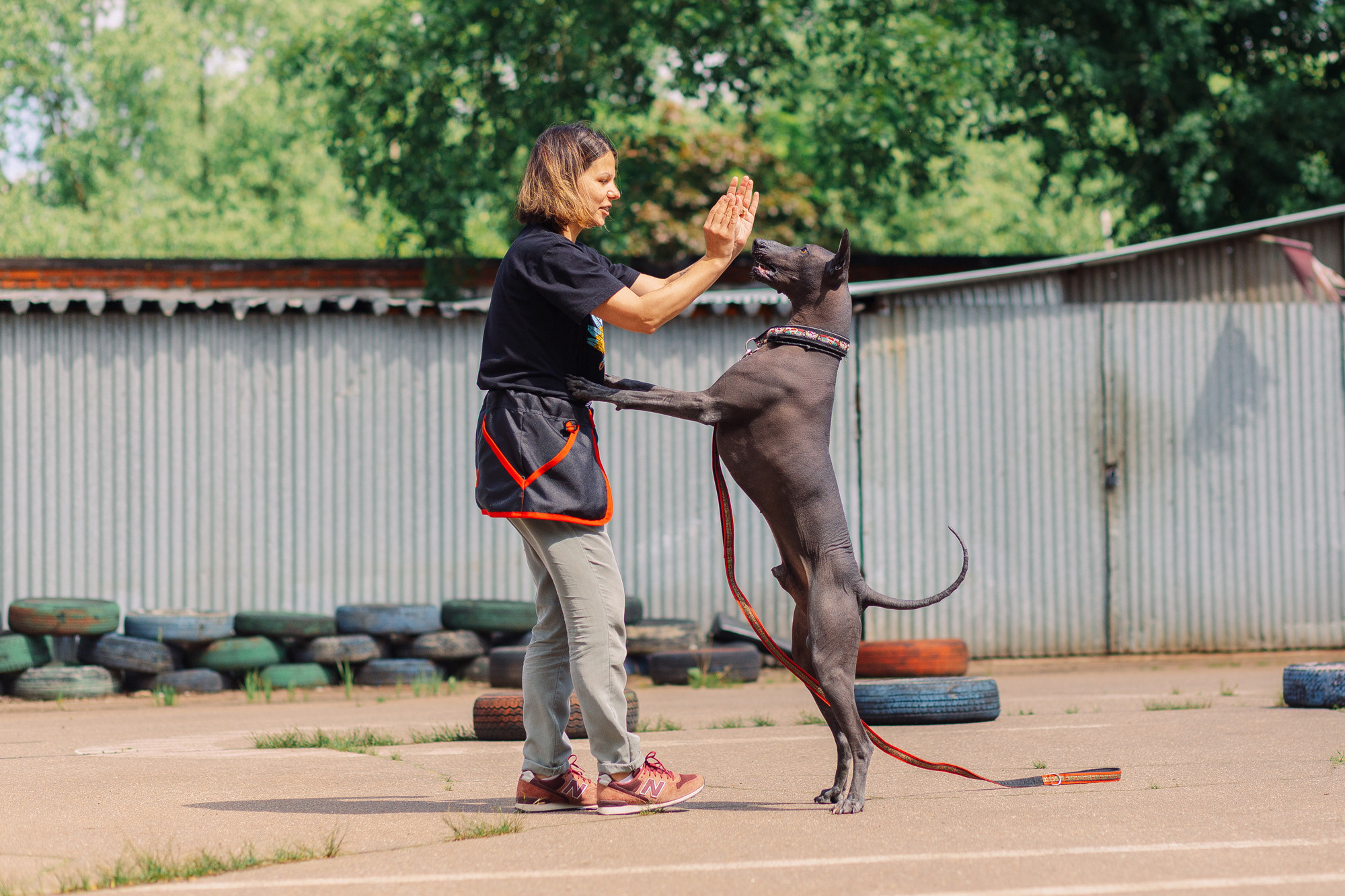 Дог-туса. Фотограф-анималист Елена Радченко, Москва