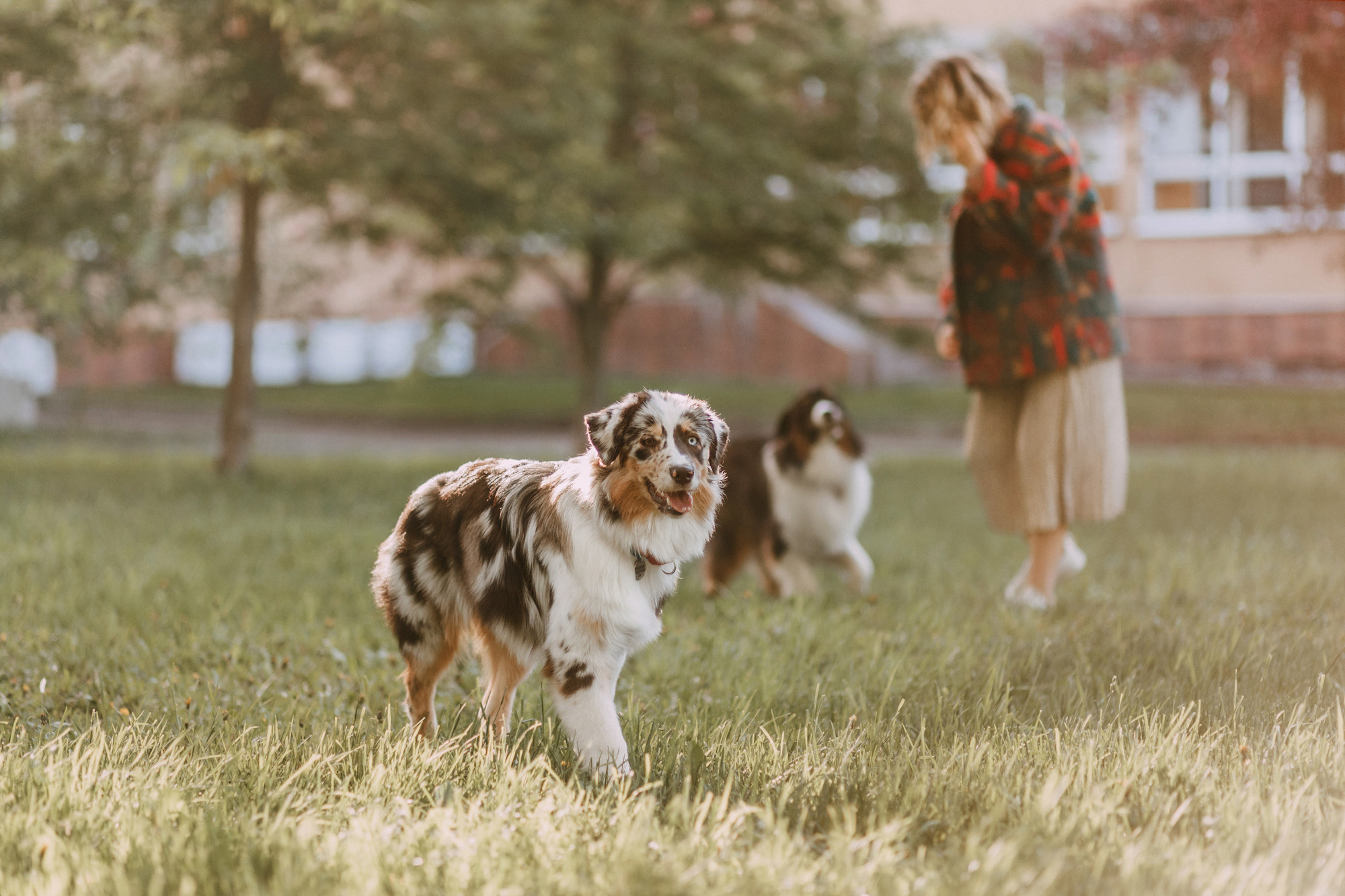 Анна, Чарли и Ева. Фотограф-анималист Елена Радченко, Москва