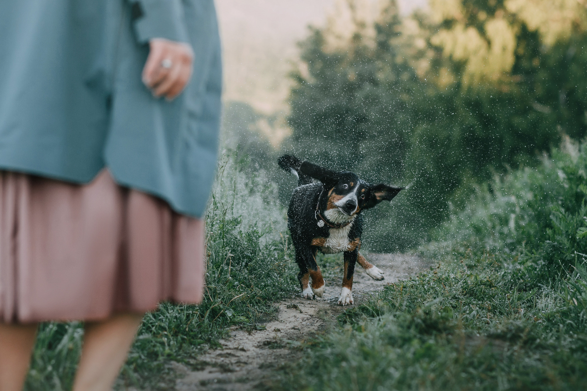 Лида и Яра. Фотограф-анималист Елена Радченко, Москва