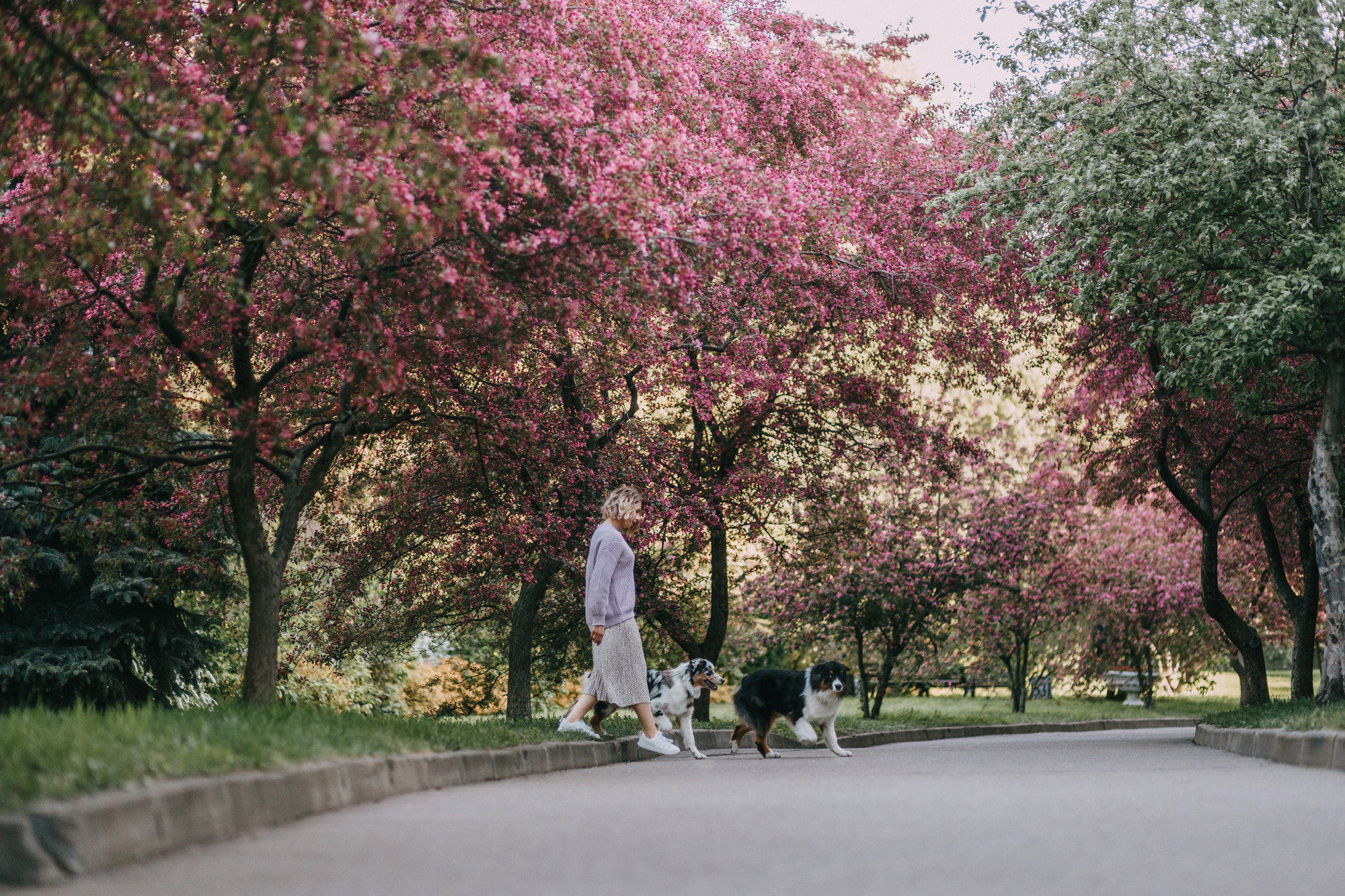 Анна, Чарли и Ева. Фотограф-анималист Елена Радченко, Москва