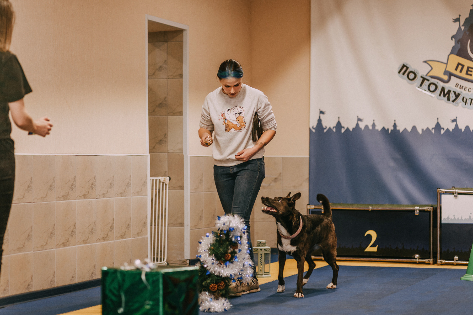 Собачий Новый год. Фотограф-анималист Елена Радченко, Москва