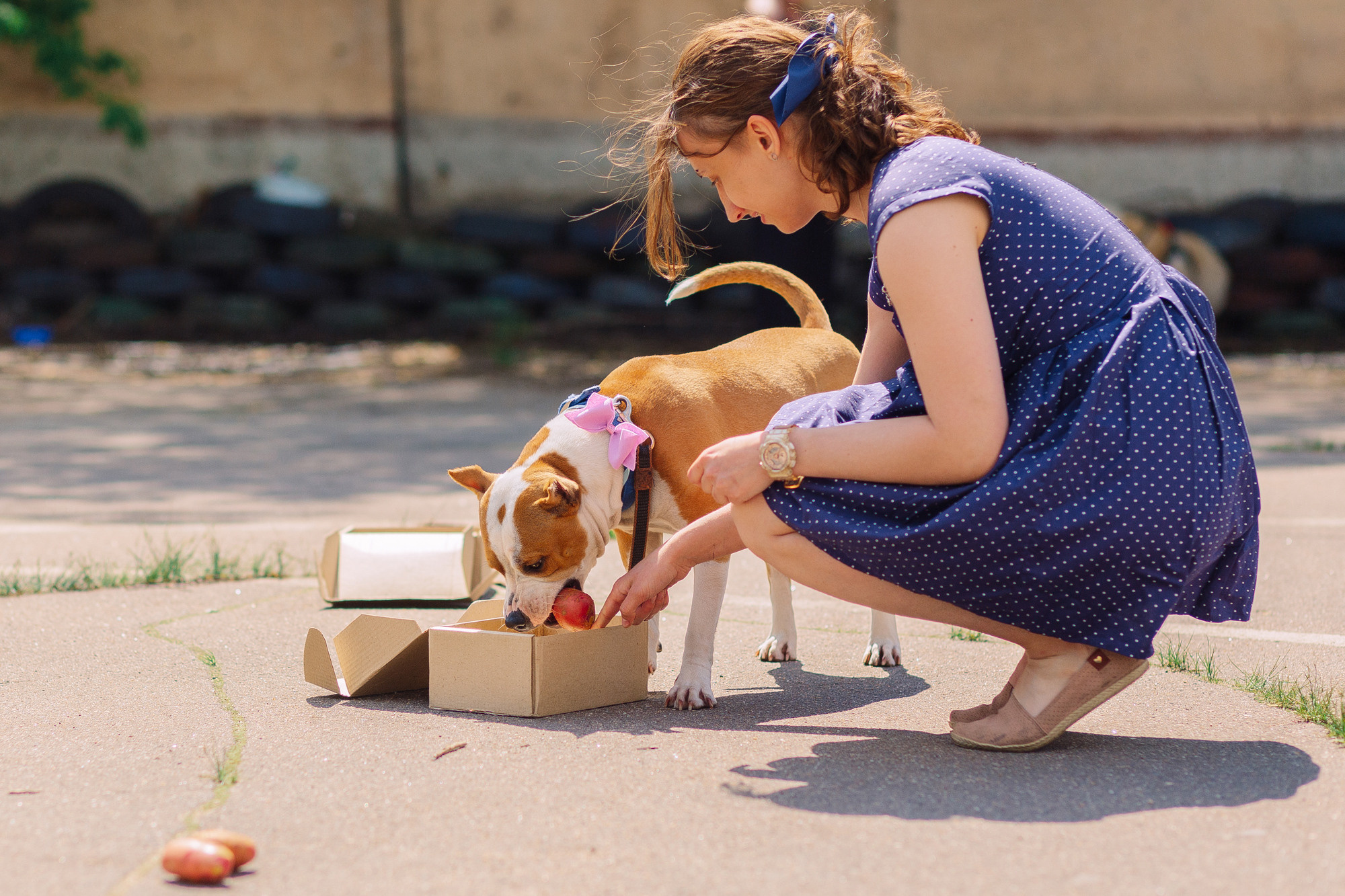 Дог-туса. Фотограф-анималист Елена Радченко, Москва
