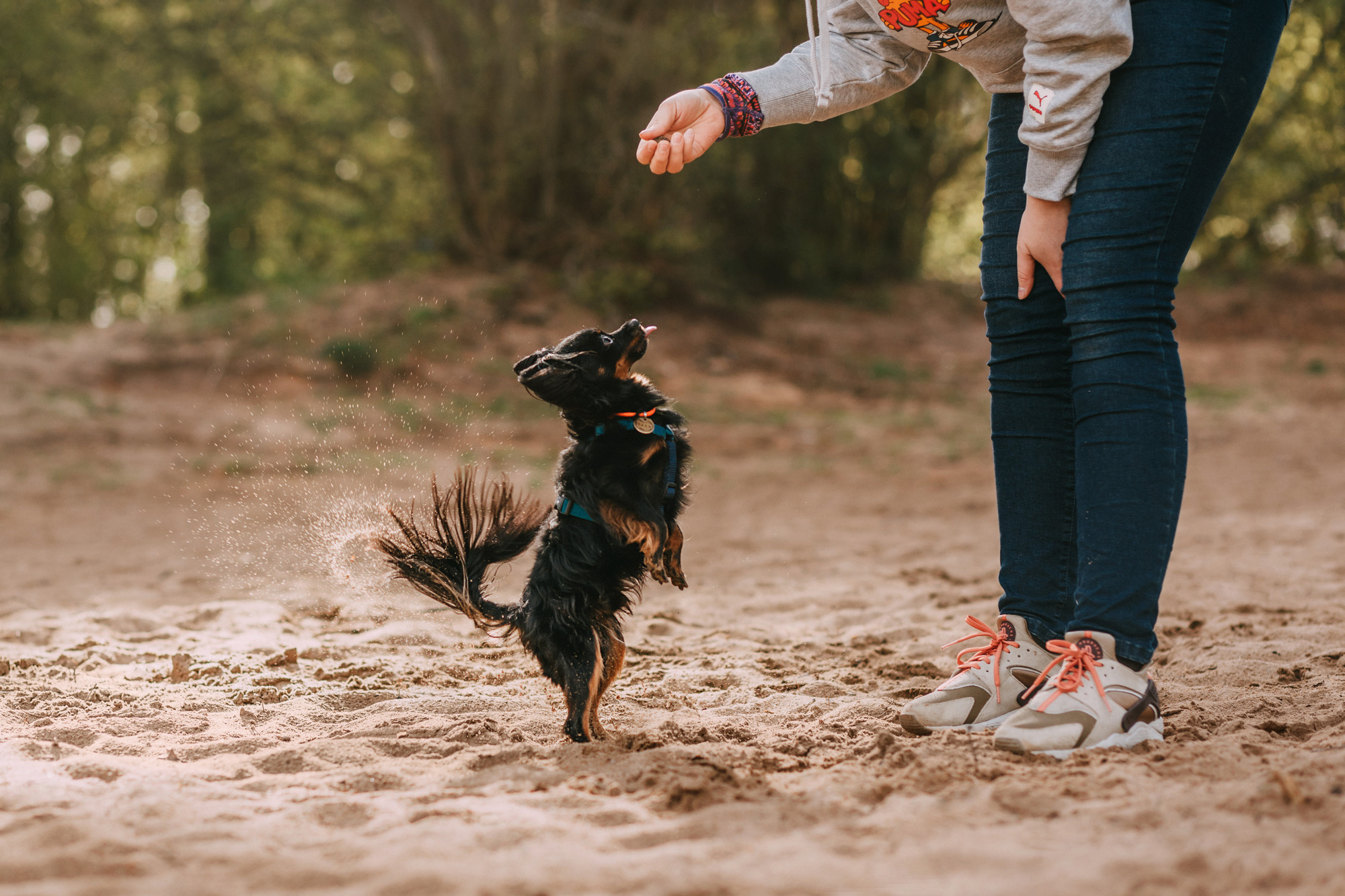Соня, Максим, Данте и Ланя. Фотограф-анималист Елена Радченко, Москва