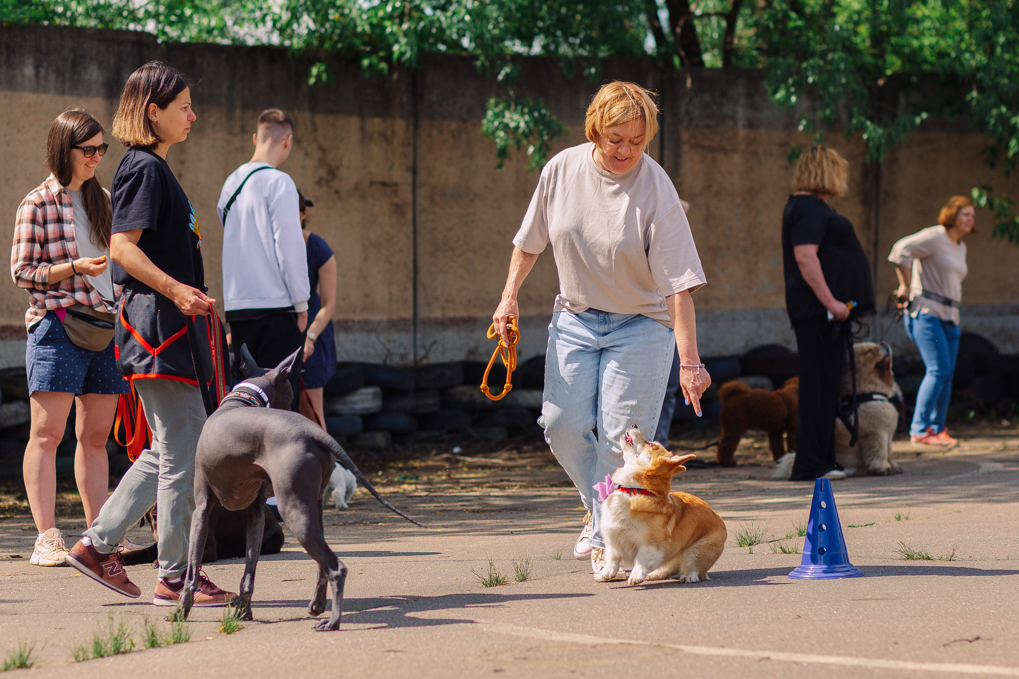 Дог-туса. Фотограф-анималист Елена Радченко, Москва
