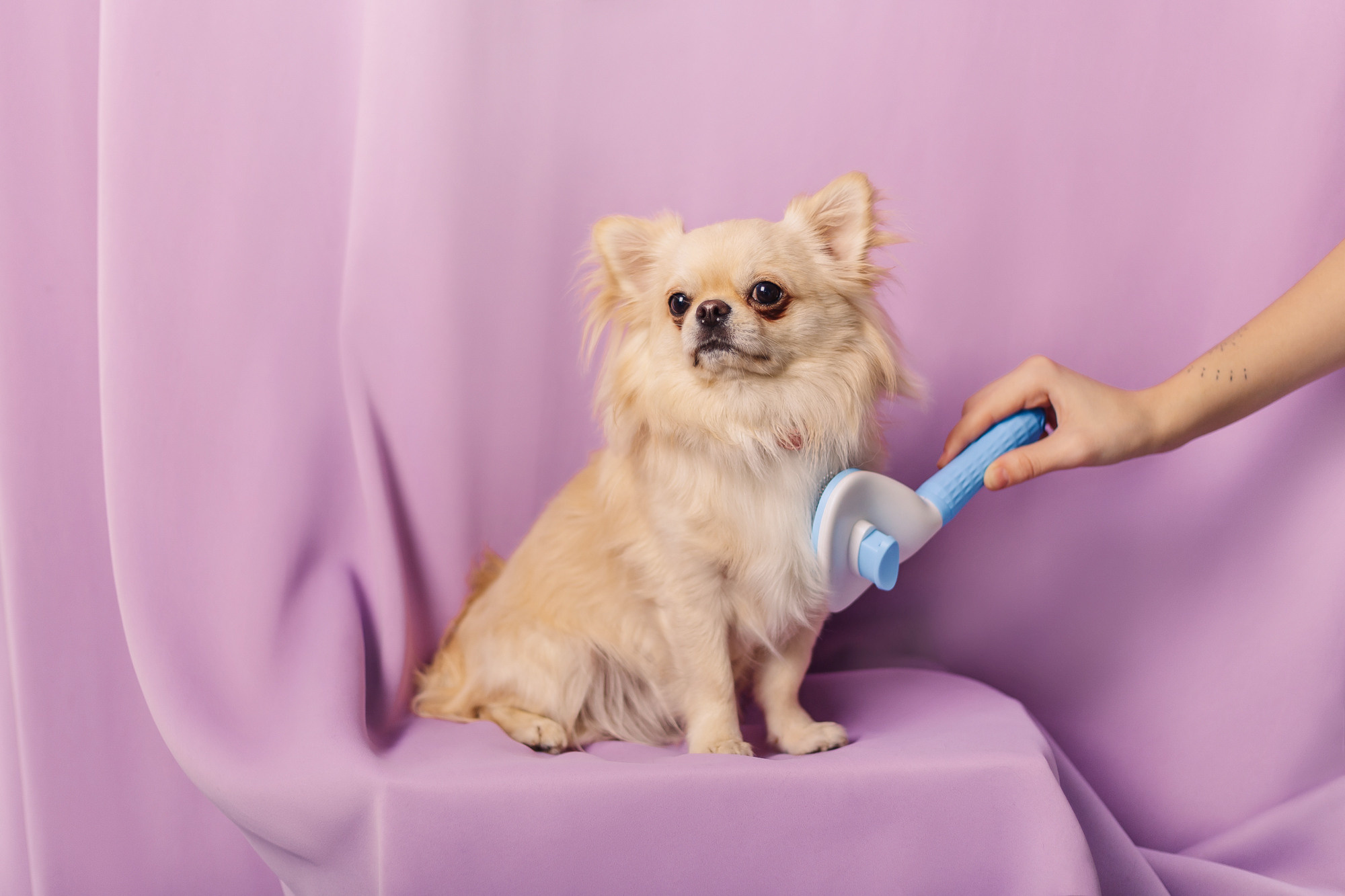 Магазин Friend of mine. Фотограф-анималист Елена Радченко, Москва