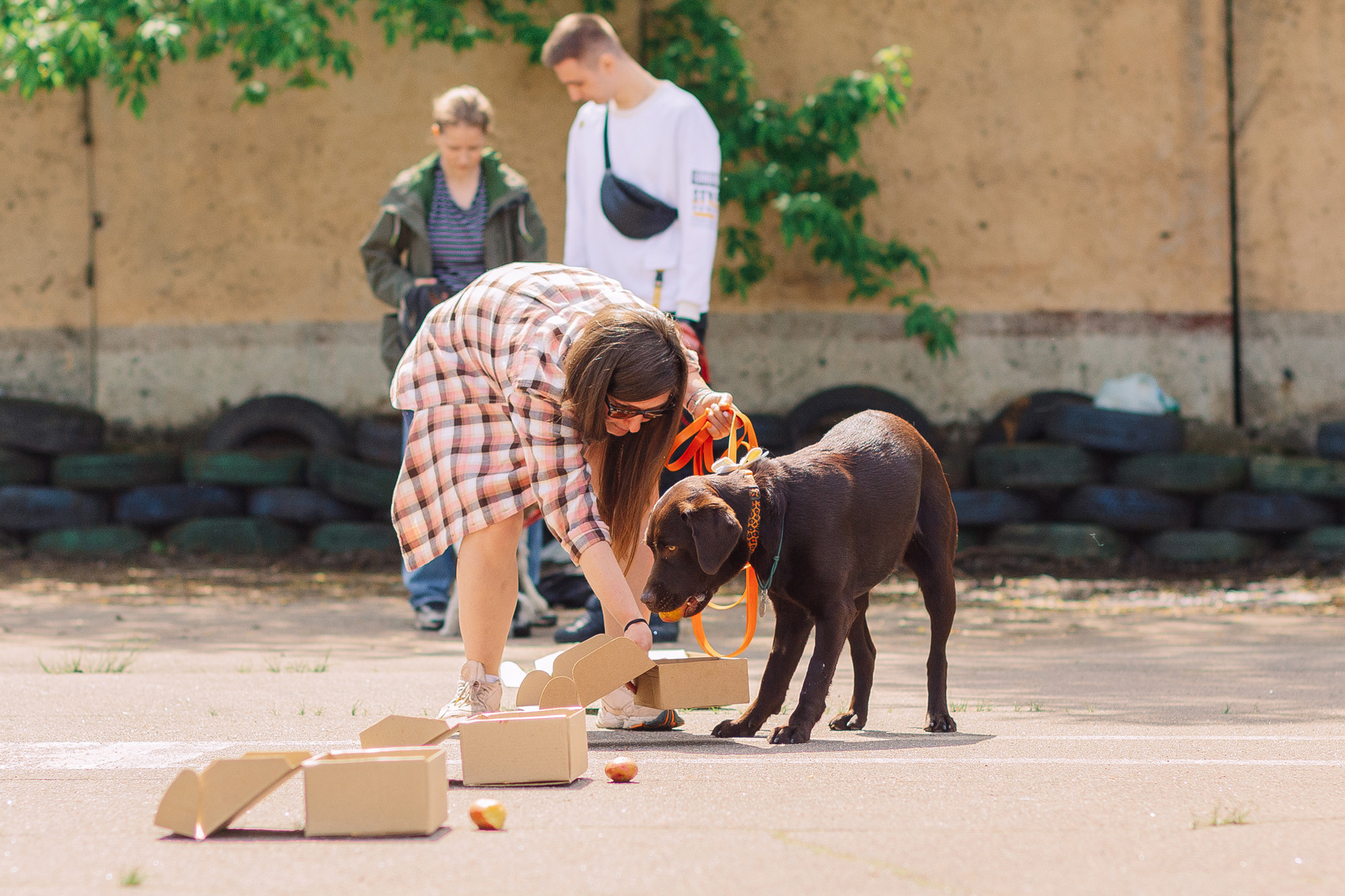 Дог-туса. Фотограф-анималист Елена Радченко, Москва