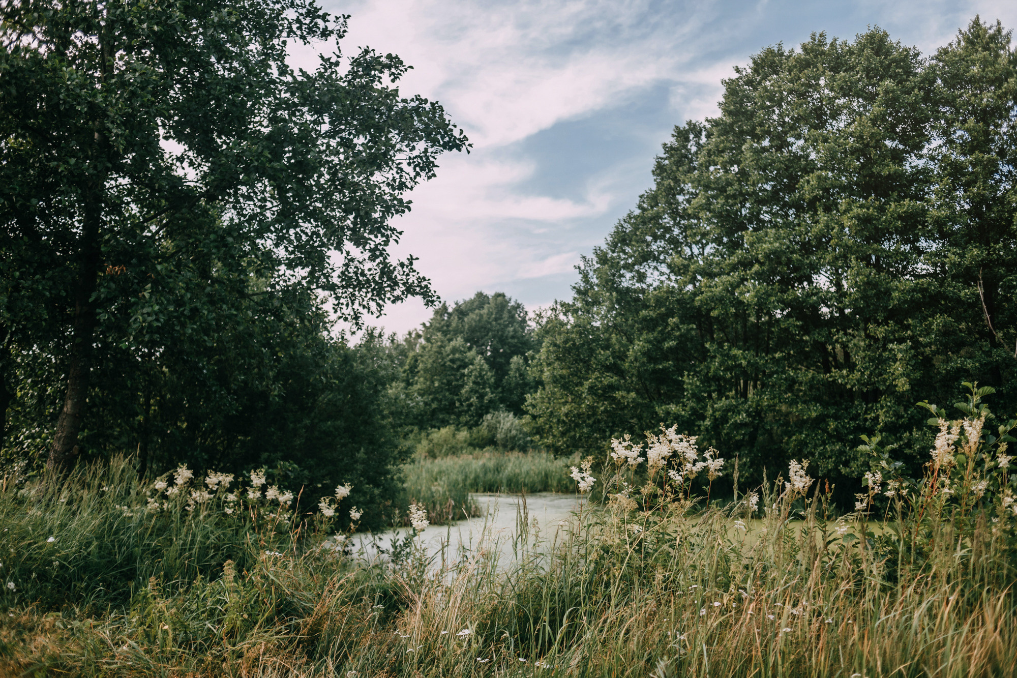 День рождения Морошки. Фотограф-анималист Елена Радченко, Москва