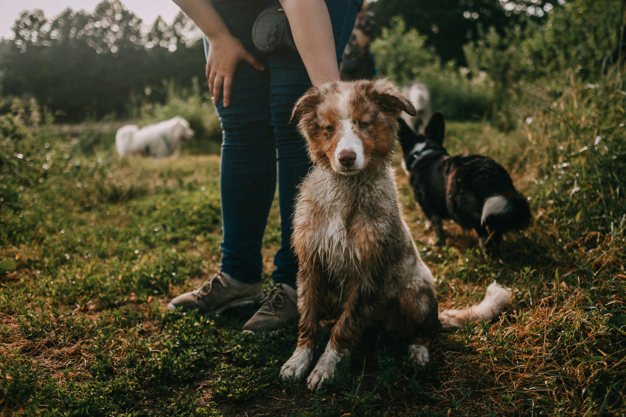 День рождения Морошки. Фотограф-анималист Елена Радченко, Москва