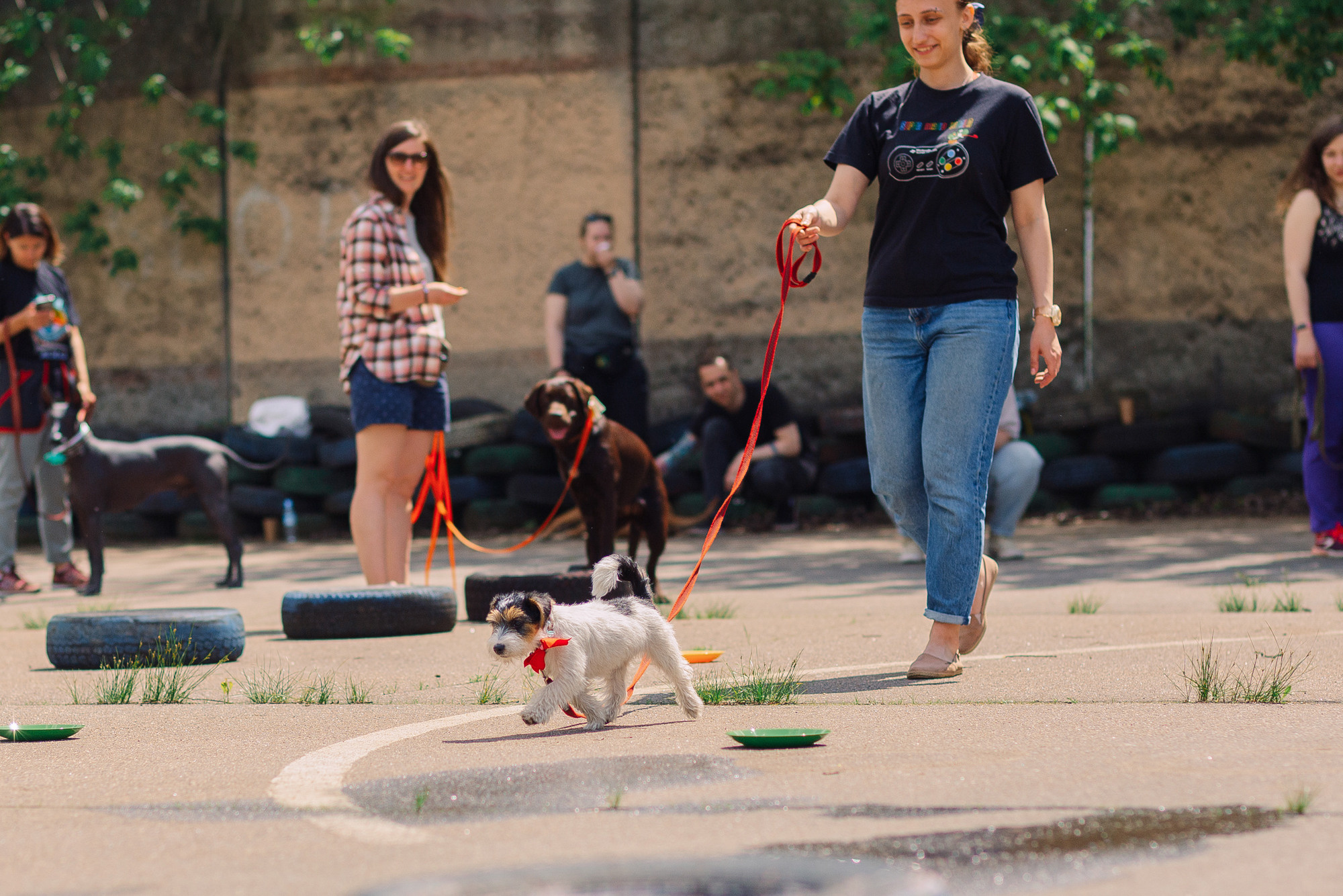 Дог-туса. Фотограф-анималист Елена Радченко, Москва