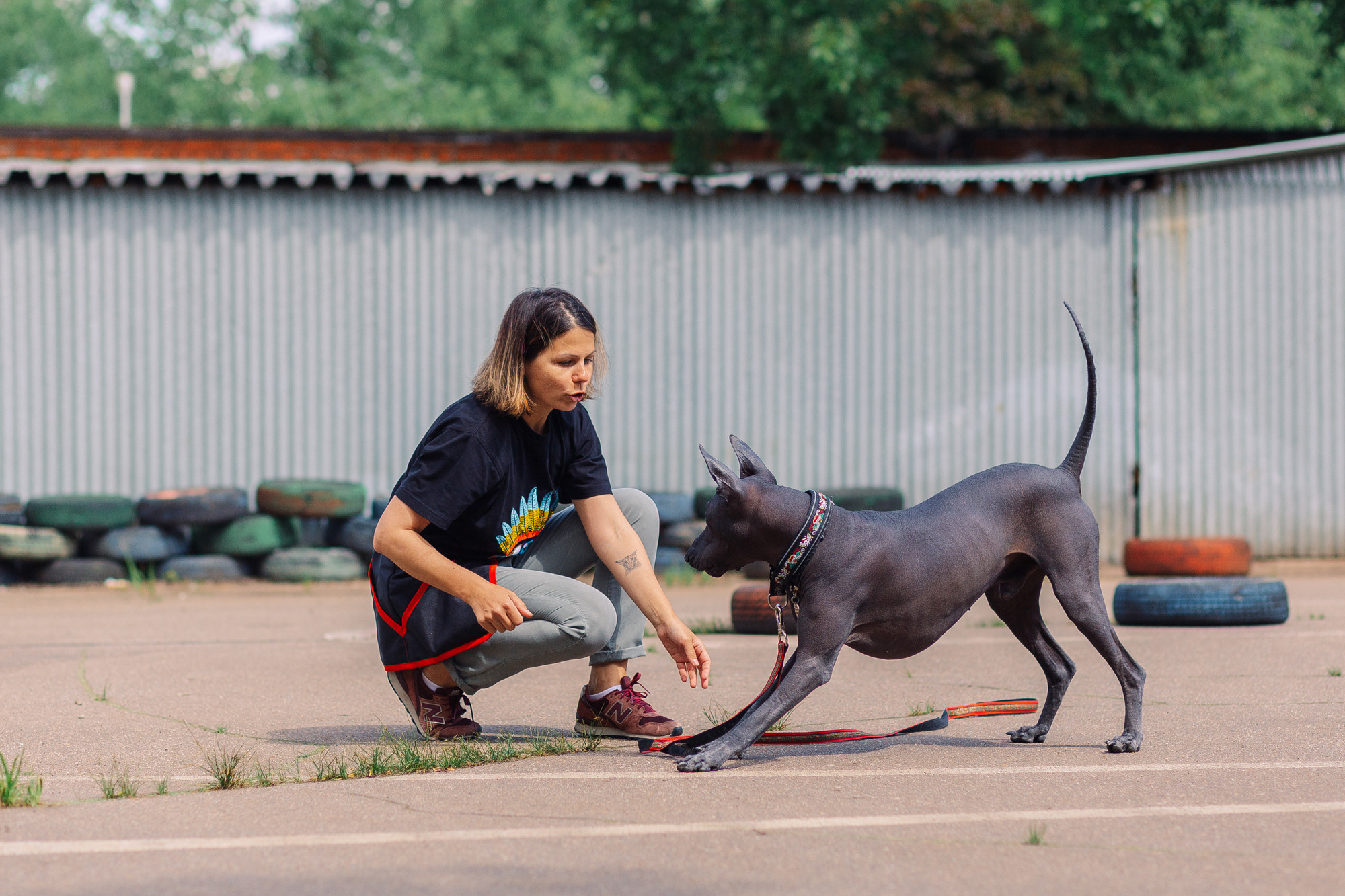 Дог-туса. Фотограф-анималист Елена Радченко, Москва